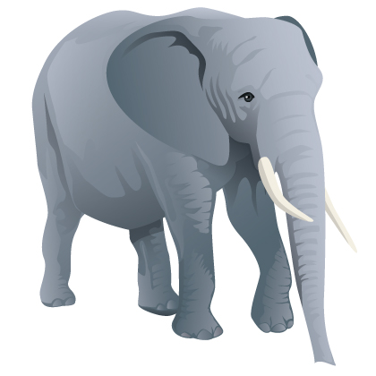 elephant.jpg