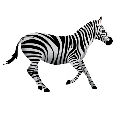 zebra.jpg