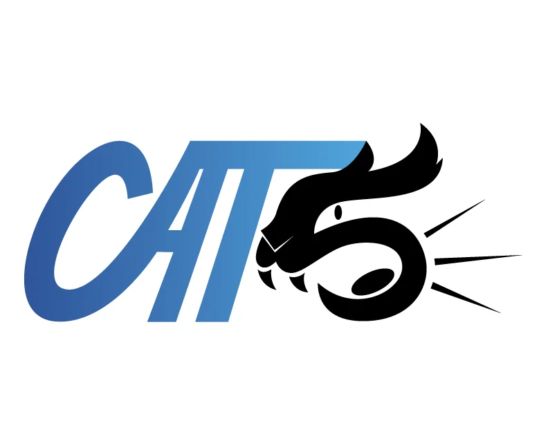 Cat 5 