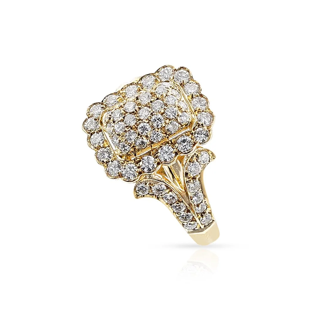 ORT02092413.jpg