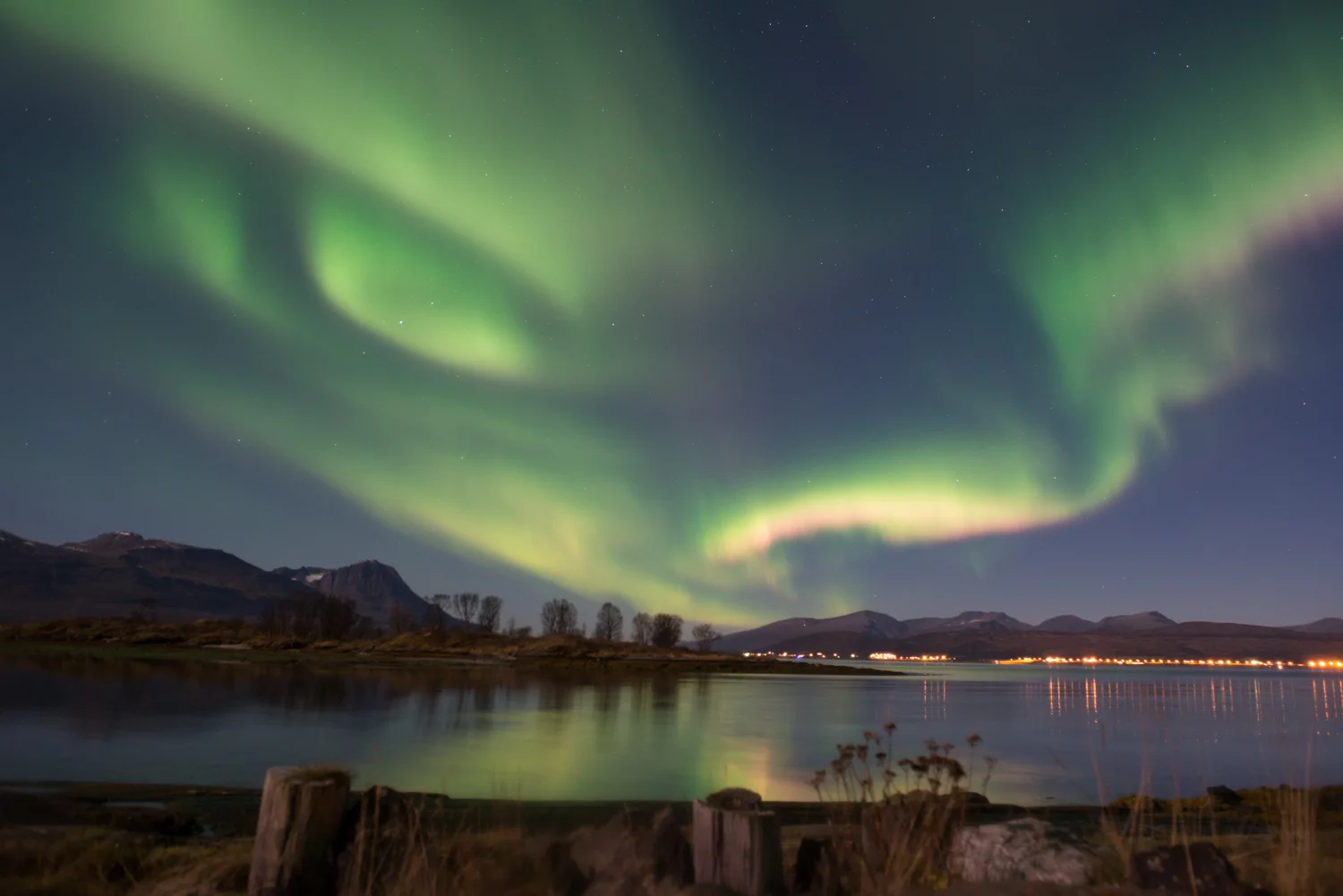Aurora-21.jpg