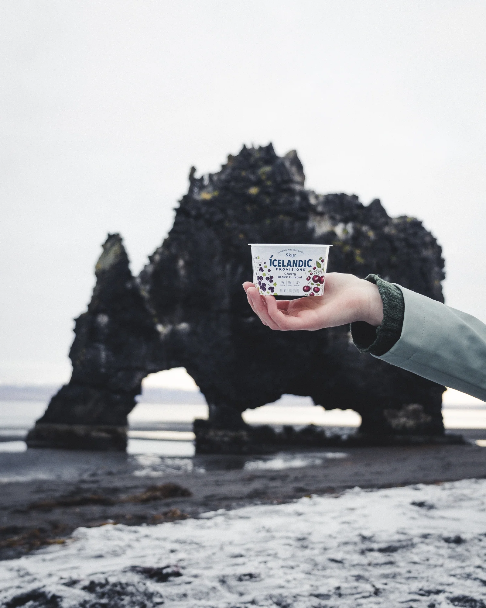 Icelandic_Provisions_Cat_North-6.jpg
