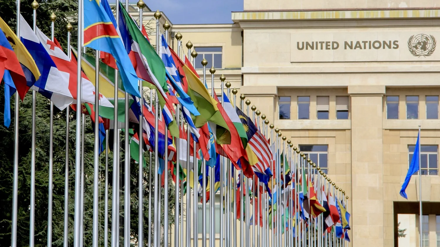 Ad-Hoc Committee of the Secretary General — ChoMUN XXIX