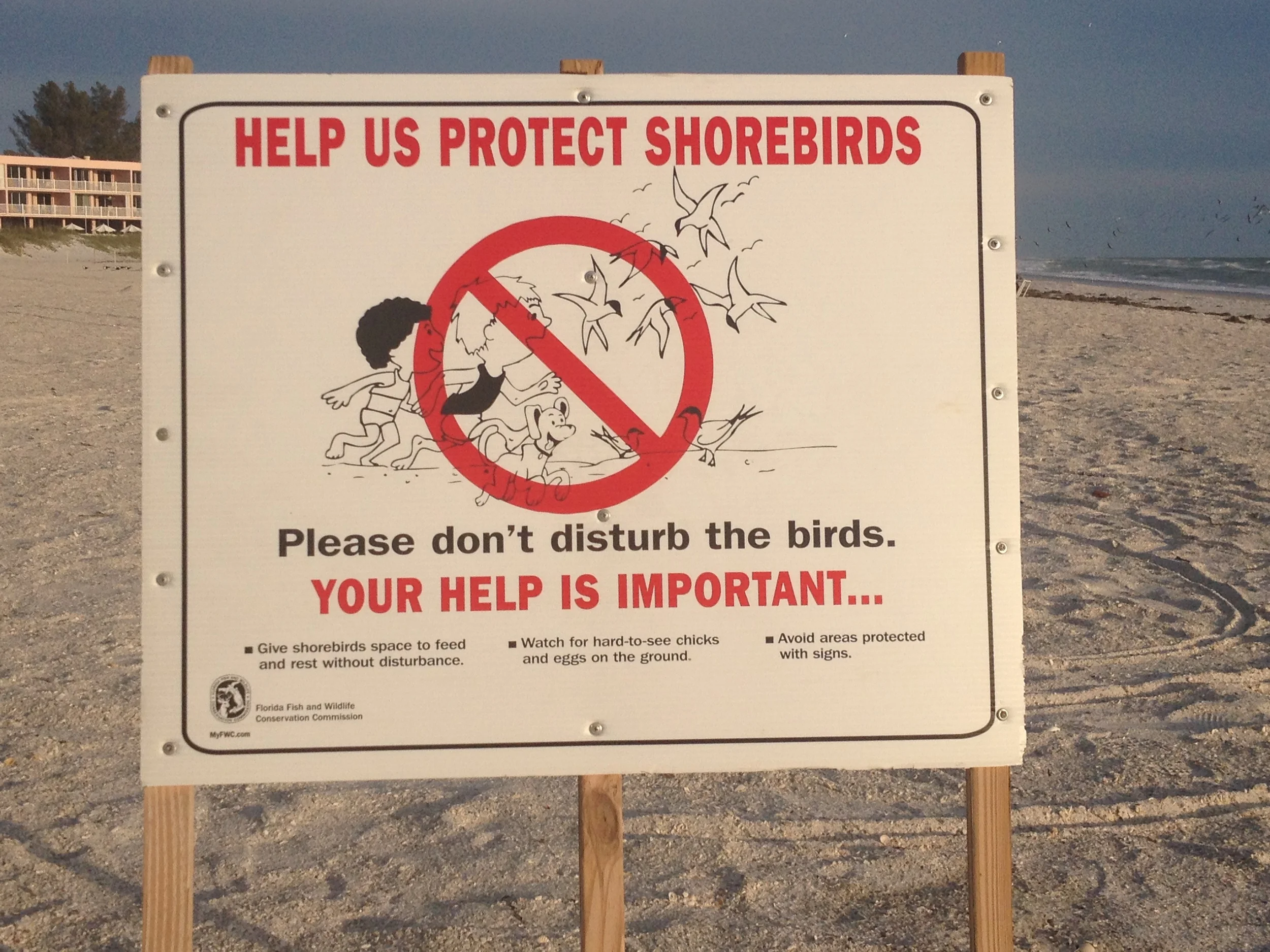 Shorebird Sign.JPG