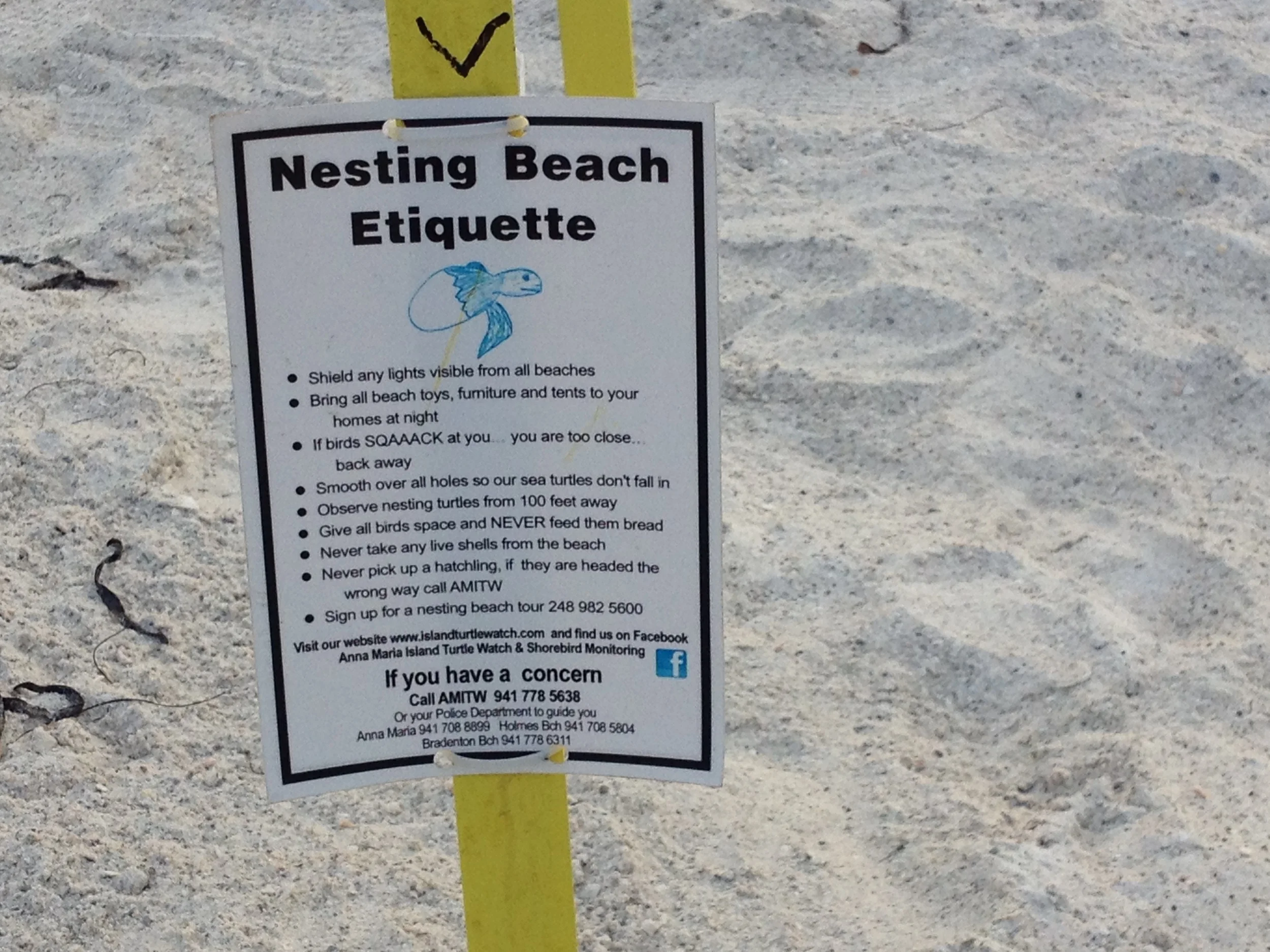 Turtle Etiquette Sign.JPG