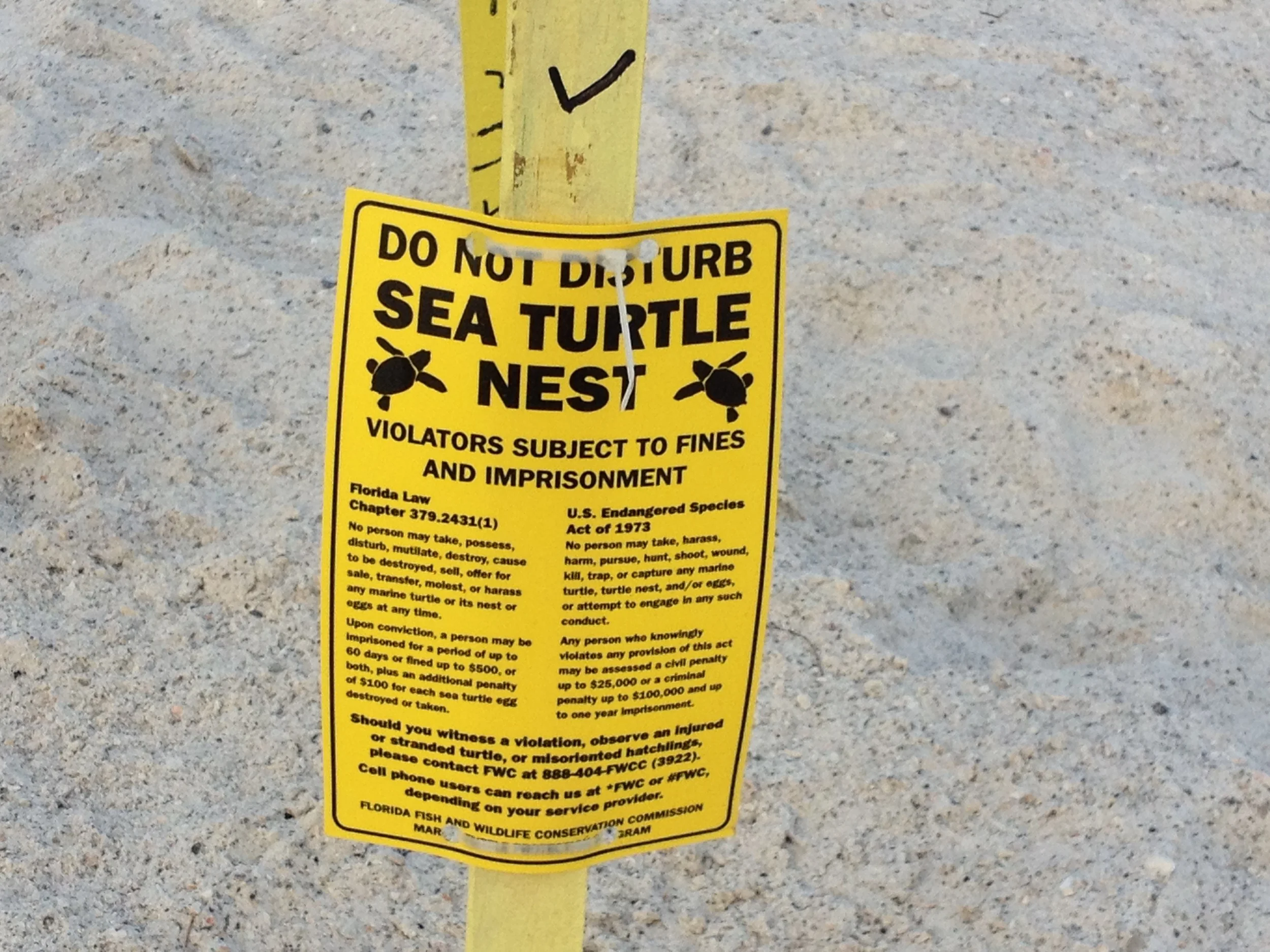 Turtle Nest Sign.JPG