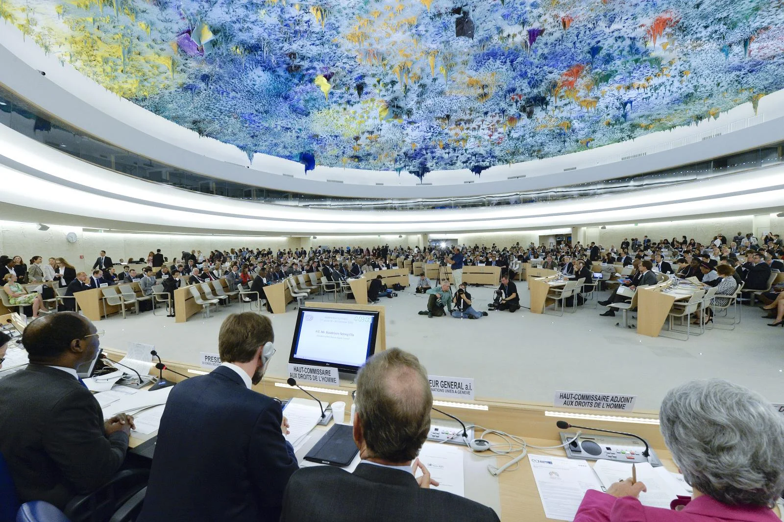 The 29th Session of the Human Rights Council: Round-Up