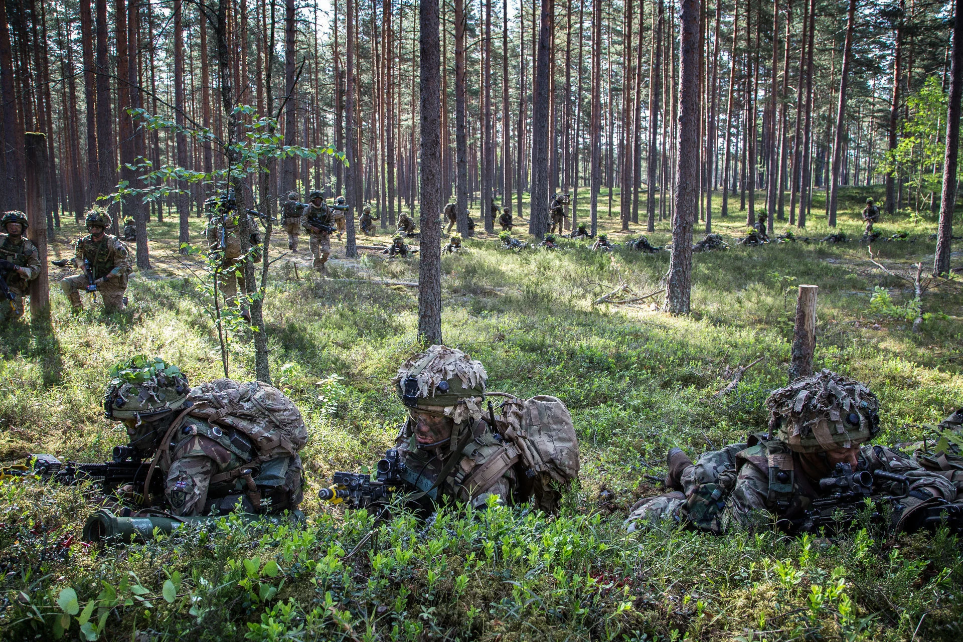 If NATO Cannot Be A Lion, It Must Be A Fox