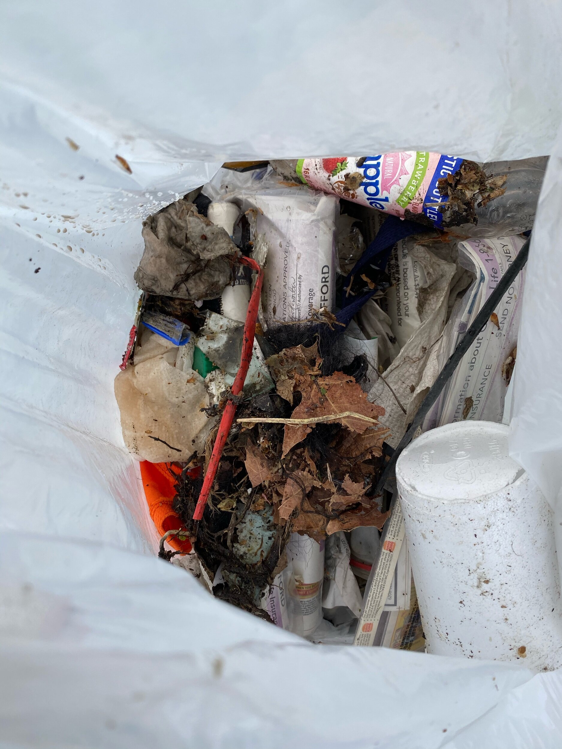 Street Litter Clean Up