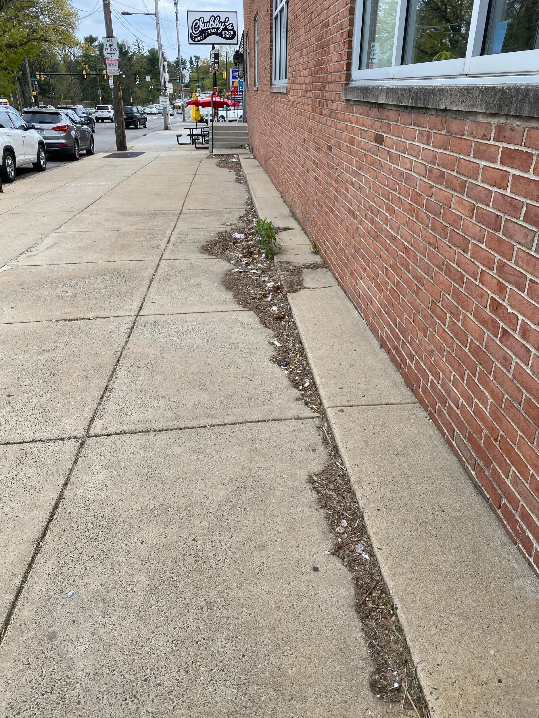 leaves as Litter Trap Henry Ave