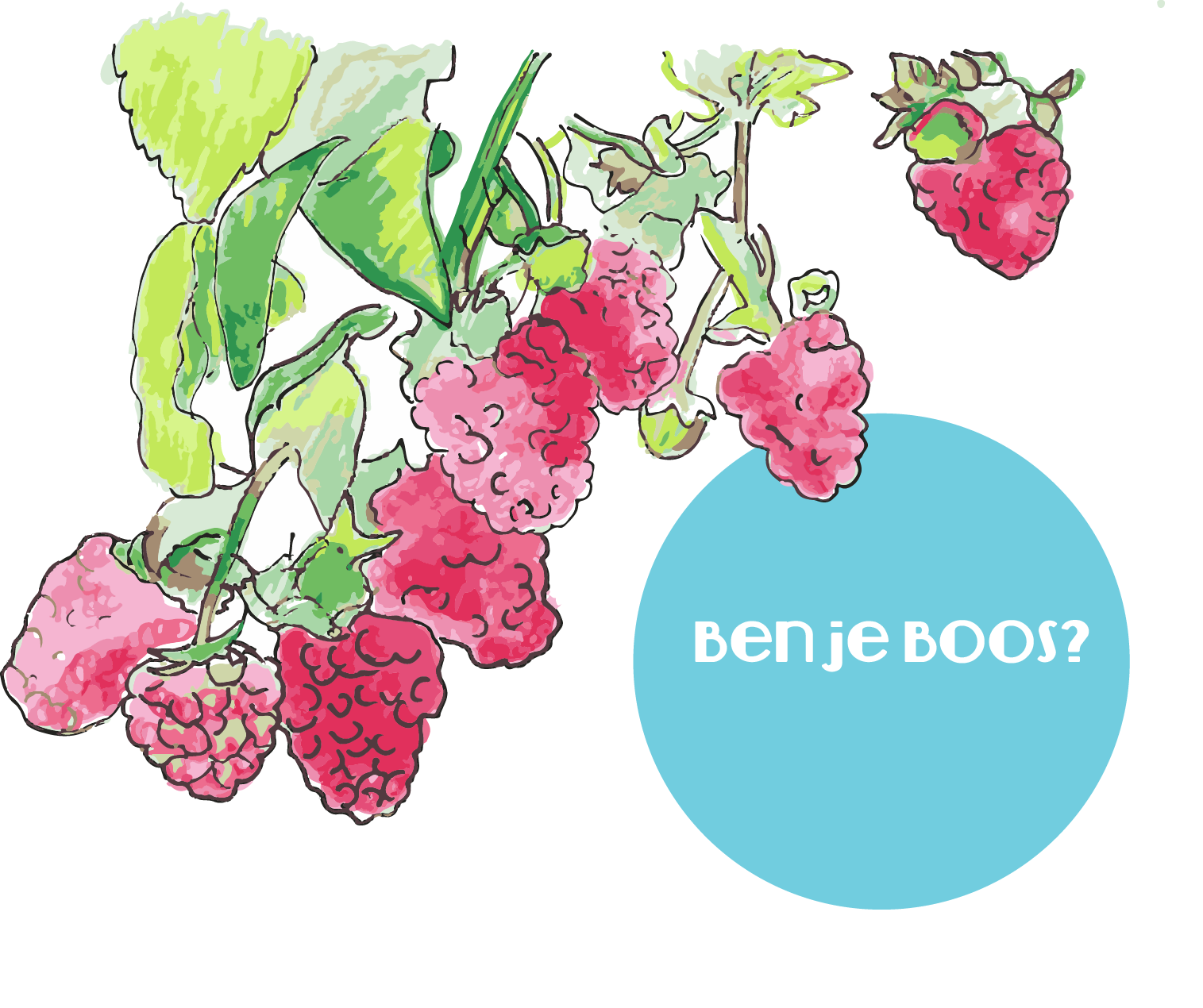 FRAMBOOSJE.jpeg.png