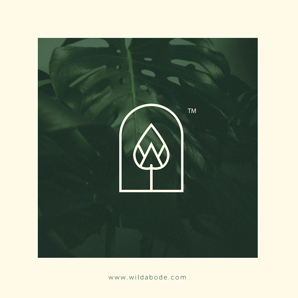 Abode.gif