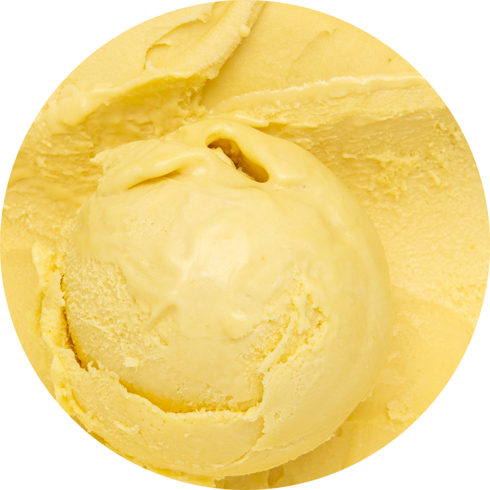 DAIRY FREE MANGO