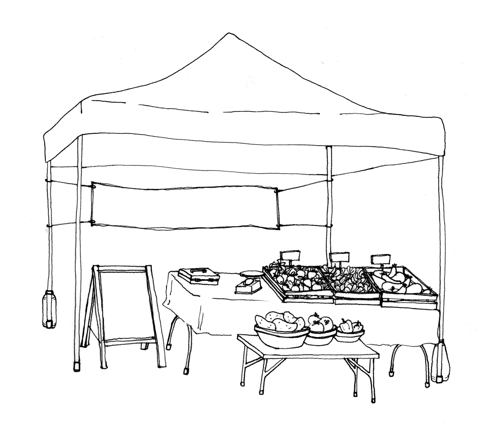 Required items shown in diagram: canopy, 30lb canopy weights, table, tablecloth. business name sign (shown as banner), pricing signage (shown as sandwich board or individual tags).