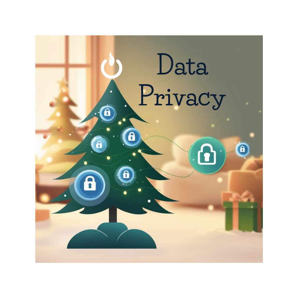 2024 Data Privacy Regulation Review