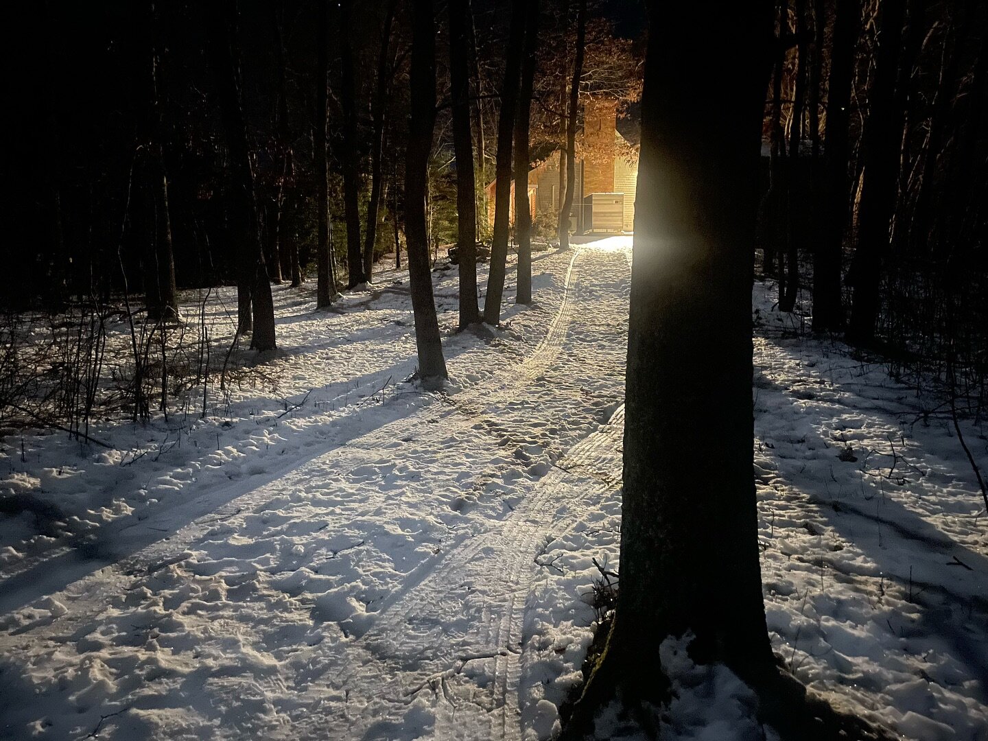 Getting shown the light on the path to Bog End
