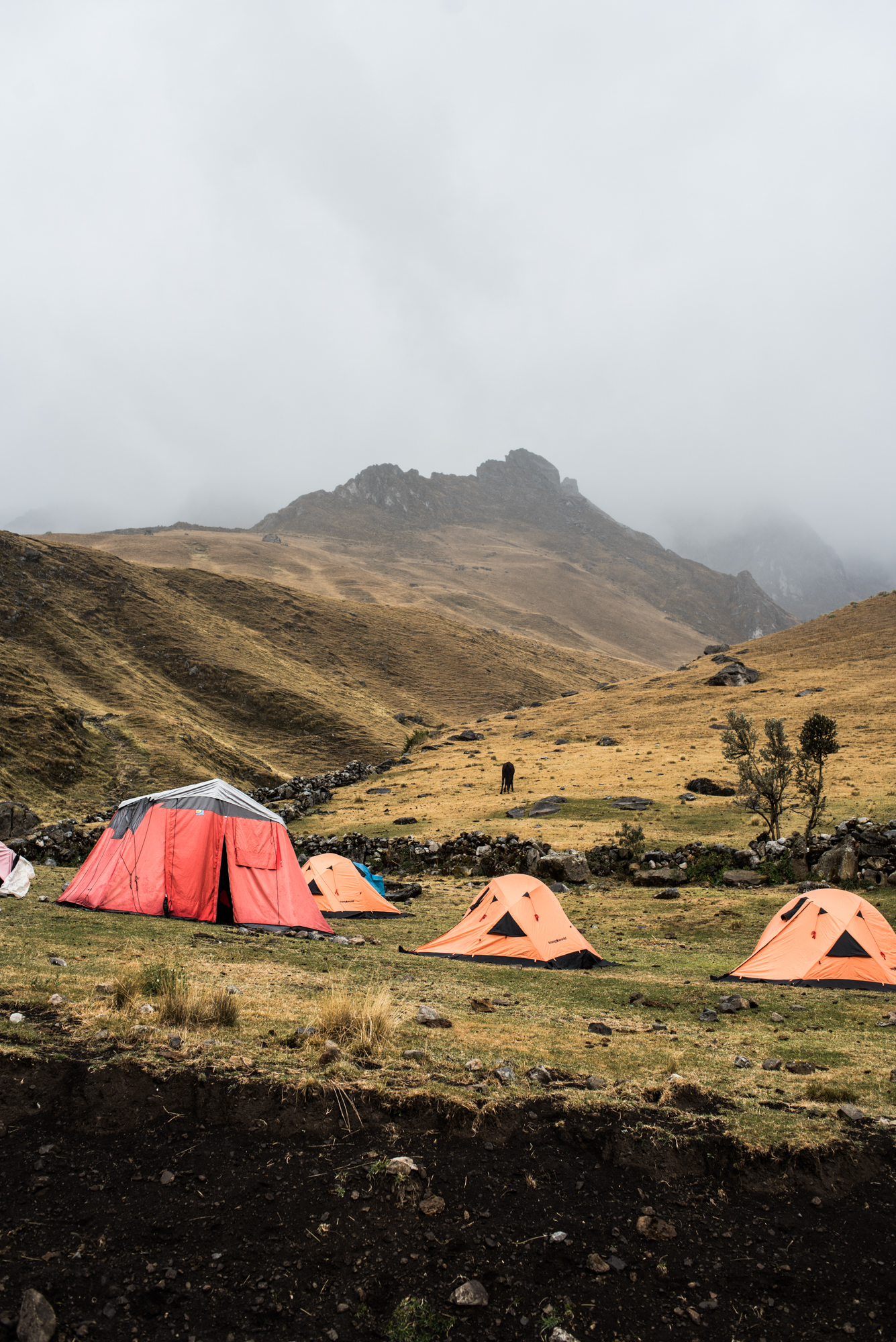 Damian and Jesse Engagement Session Huayhuash Mountain Trekking Peru_120.JPG