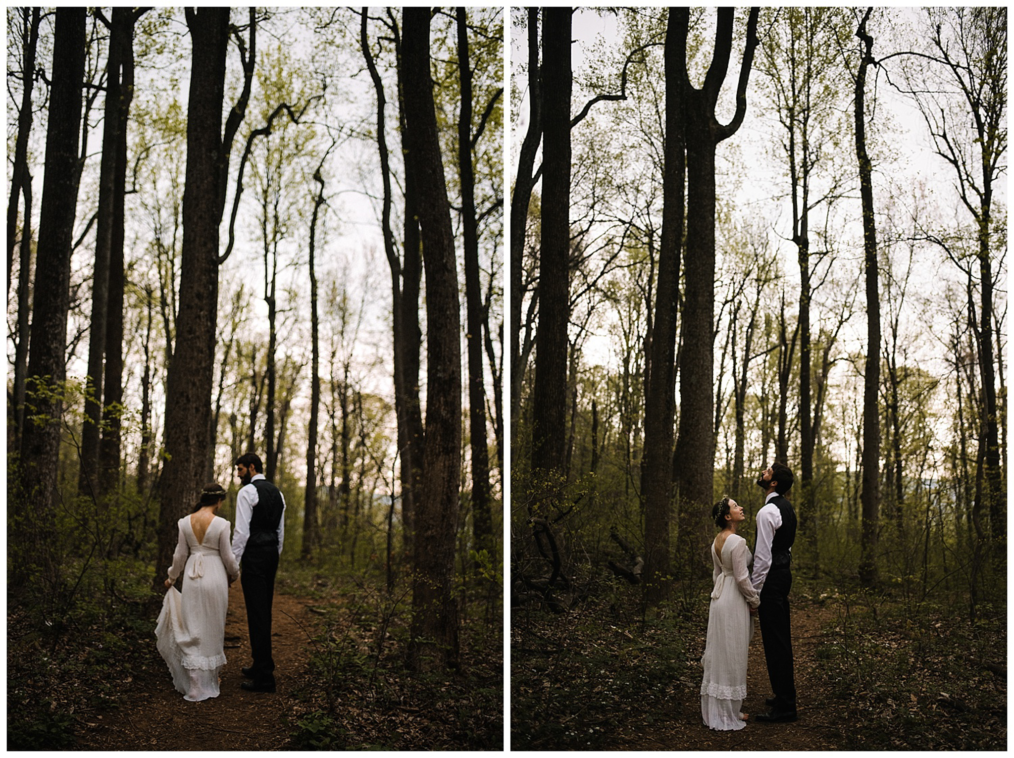 Lisa and Stuart - Post Wedding Couple Portraits - White Sails Creative - Blue Ridge Mountains - Sunrise Shenandoah National Park_54.JPG