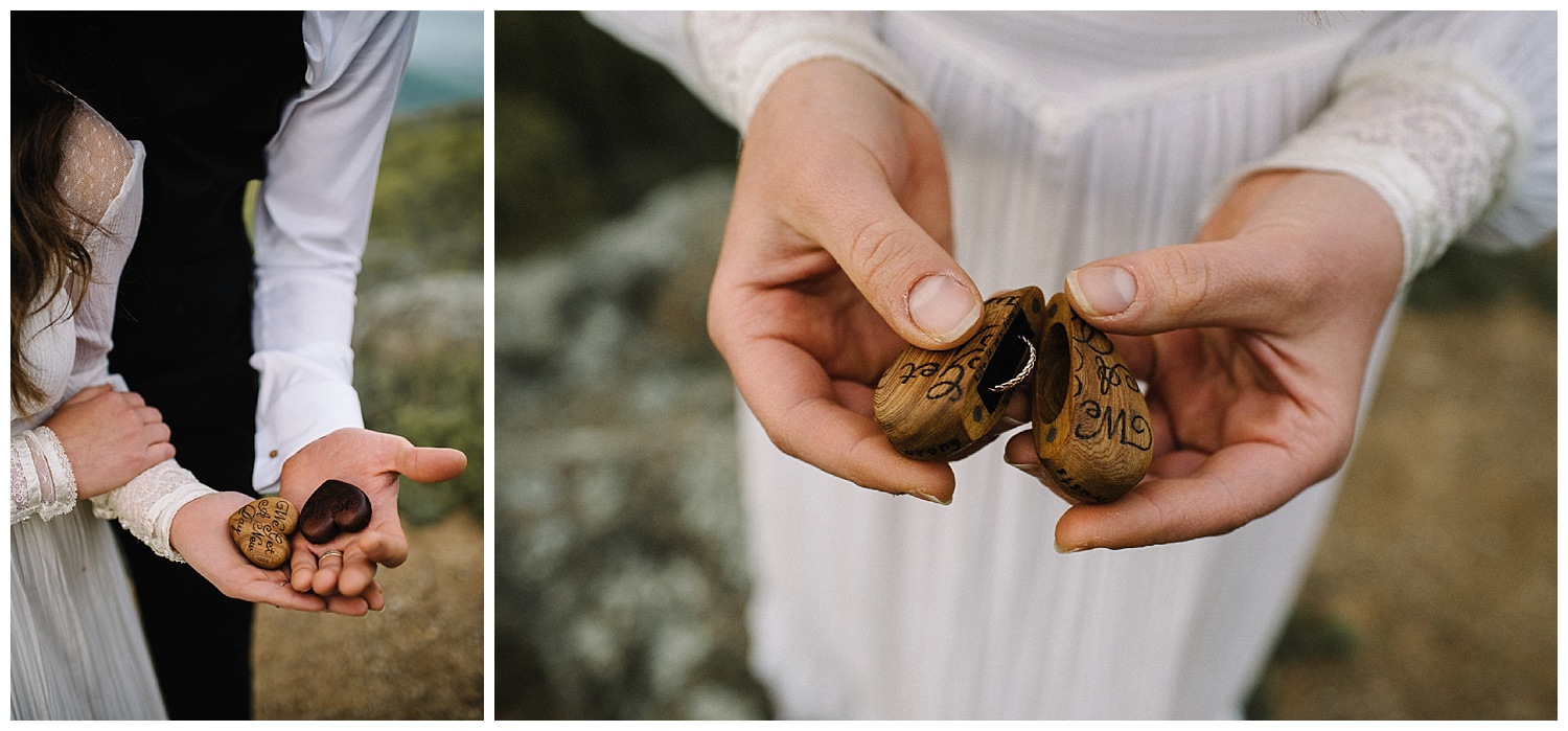 Lisa and Stuart - Post Wedding Couple Portraits - White Sails Creative - Blue Ridge Mountains - Sunrise Shenandoah National Park_50.jpg