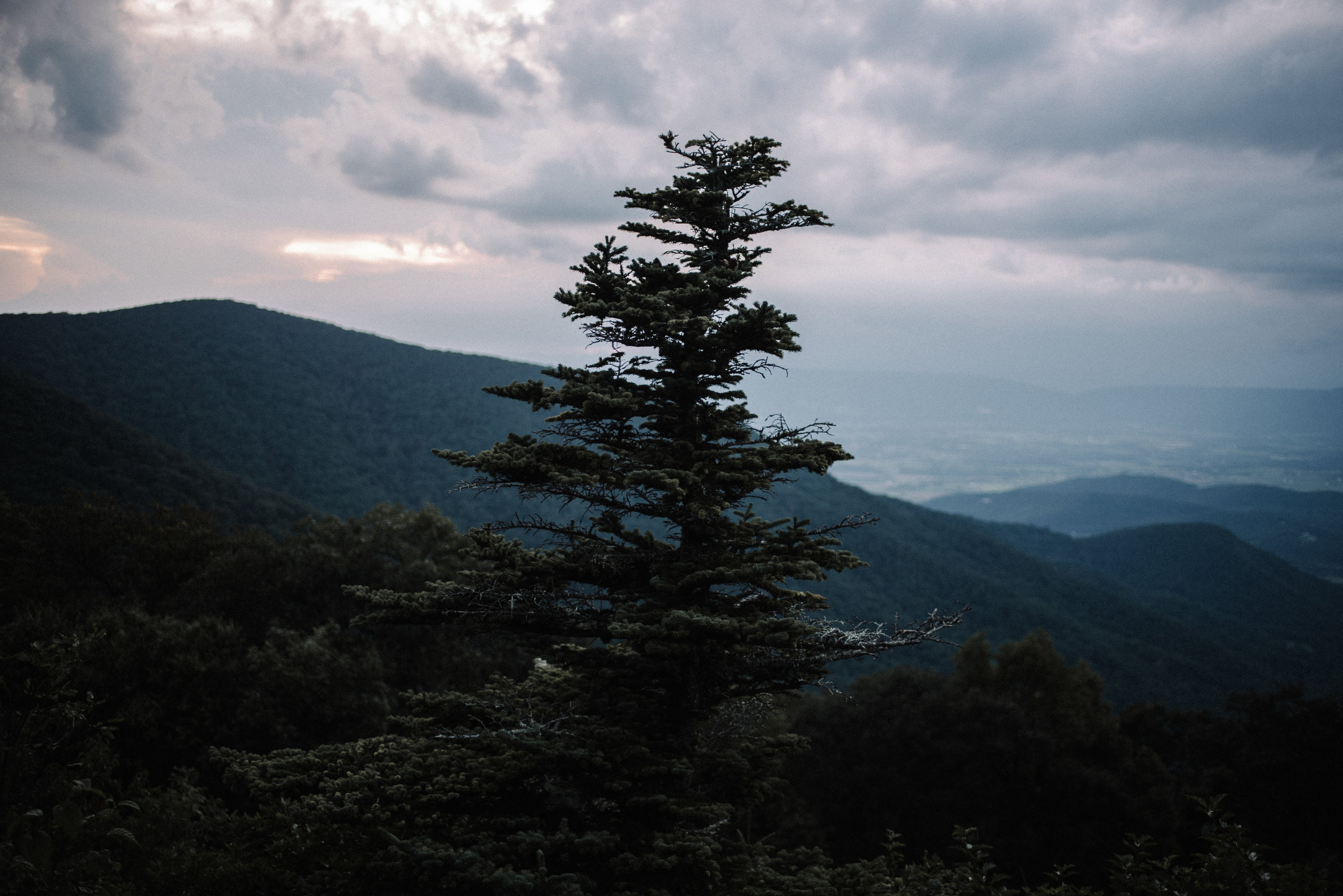 Kat & Alex Engagement - Shenandoah National Park - White Sails_55.JPG