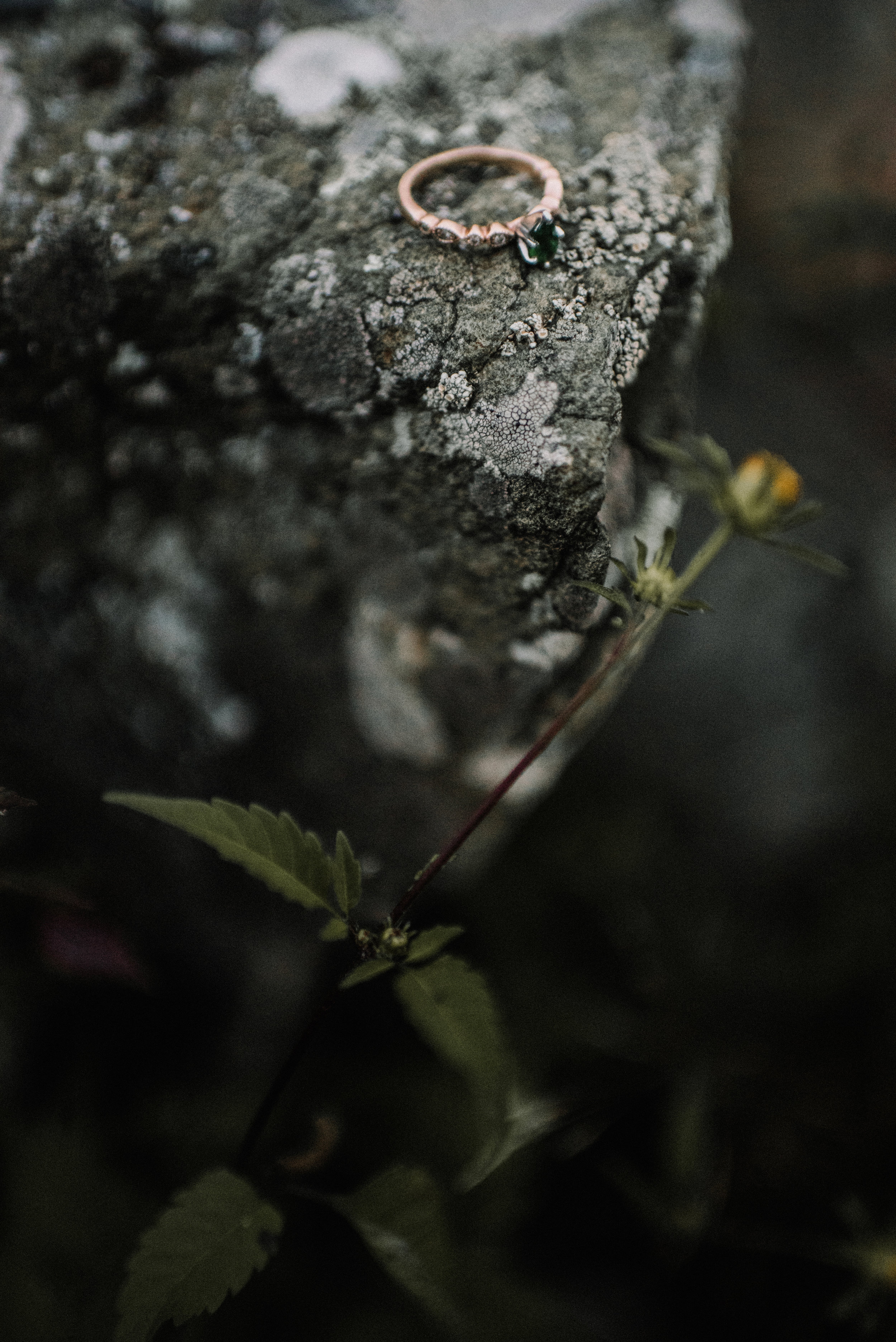 Kat & Alex Engagement - Shenandoah National Park - White Sails_115.JPG