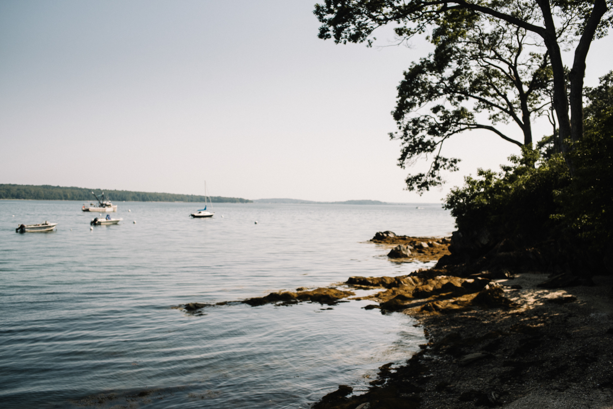 Damian and Jesse Chebeague Island Maine Backyard Destination Beach Wedding White Sails Creative_36.JPG