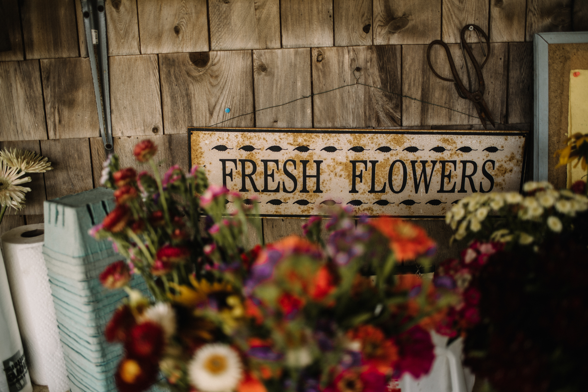 Damian and Jesse Chebeague Island Maine Backyard Destination Beach Wedding White Sails Creative_53.JPG