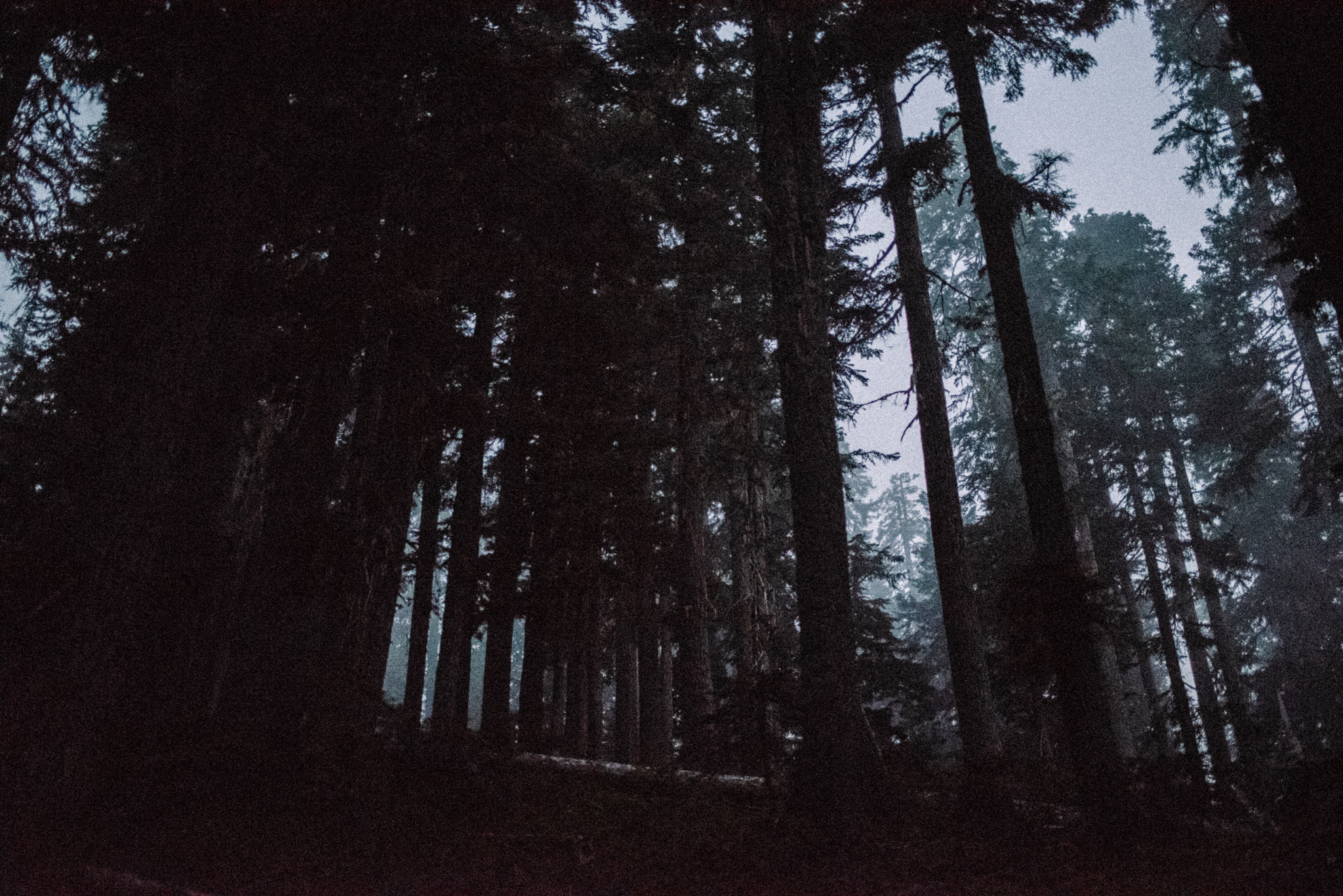 Megan and Andrew Lake Valhalla Washington PNW Adventure Elopement White Sails Creative Sunrise Hike_35.JPG