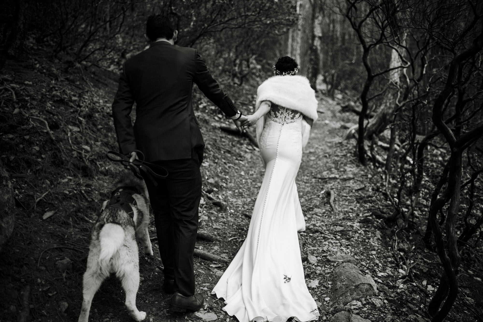 Game of Thrones Elopement - Winter Elopement - Shenandoah National Park Elopement Photographer - Virginia Adventure Photographer - Blue Ridge Parkway Elopement Photographer_11.jpg