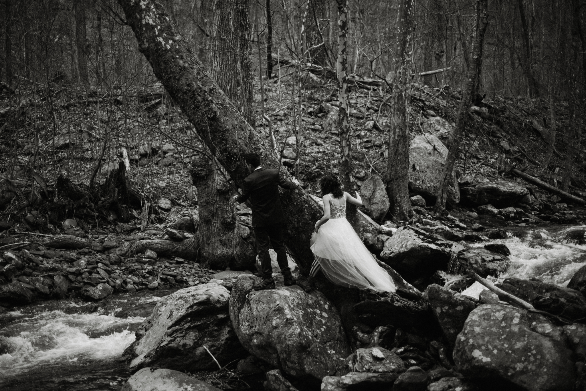 Stephanie and Steve - Shenandoah National Park Elopement - Sunrise Hiking Elopement - Adventurous Elopement - Virginia Elopement Photographer - Shenandoah national Park Wedding Photographer - White Sails Creative_3.jpg