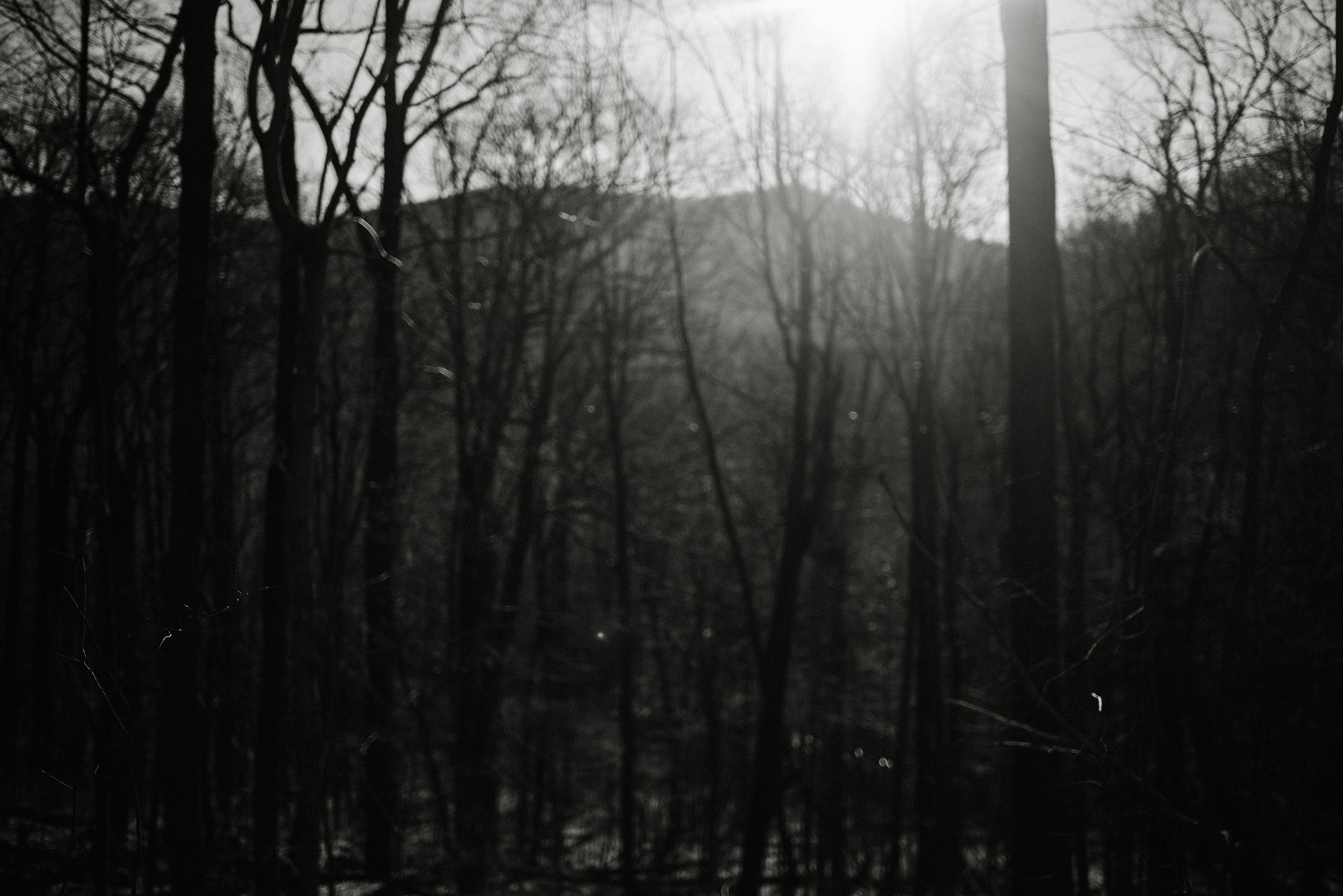 Stephanie and Steve - Shenandoah National Park Elopement - Sunrise Hiking Elopement - Adventurous Elopement - Virginia Elopement Photographer - Shenandoah national Park Wedding Photographer - White Sails Creative_50.jpg