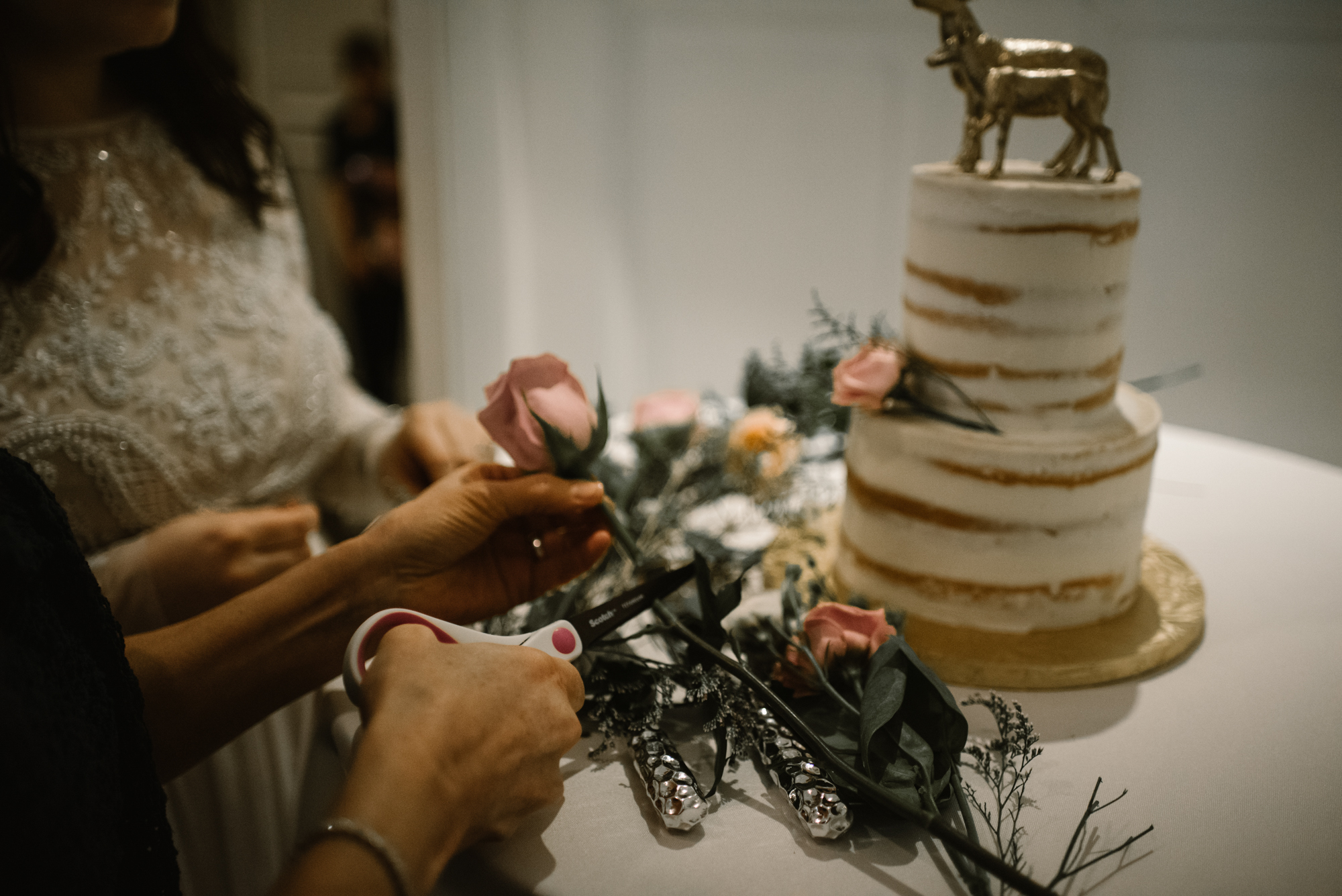 Emma and Jeddah - Intimate Luray Wedding - Shenandoah National Park Wedding - Adventure Elopement in Virginia - Shenandoah National Park Elopement_76.jpg