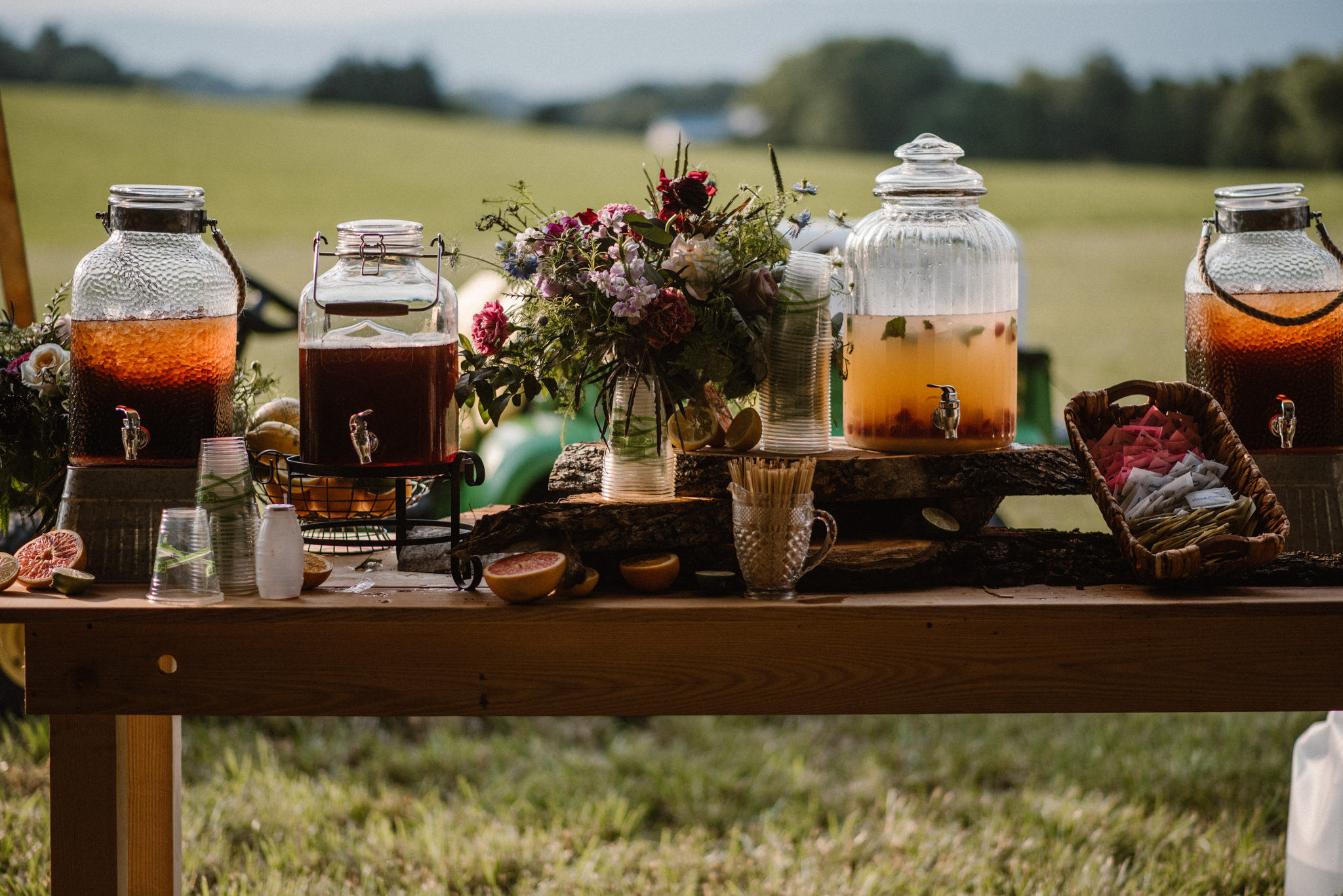 Rachel and Jackson's Virginia Backyard Wedding with Gorgeous Details - Romantic Dusty Color Scheme - Blue Ridge Mountain Wedding - Jane Austen Inspired Wedding - White Sails Photography _14.jpg