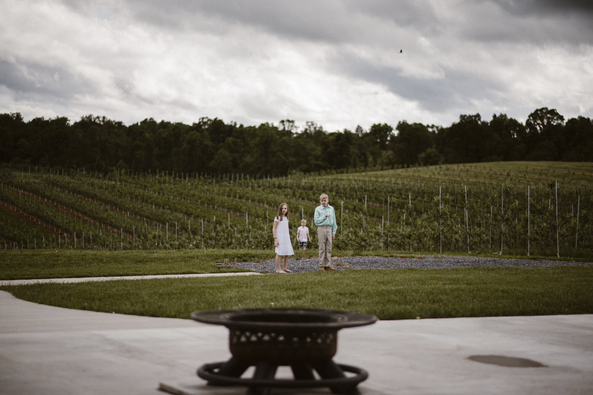 Alli and Mitchell - Rainy Backyard Wedding - Intimate Wedding - Fun Reception Photos - Virginia Wedding Photographer - Documentary Wedding Photography - White Sails Creative - Virginia Backyard Wedding Photographer_150.jpg