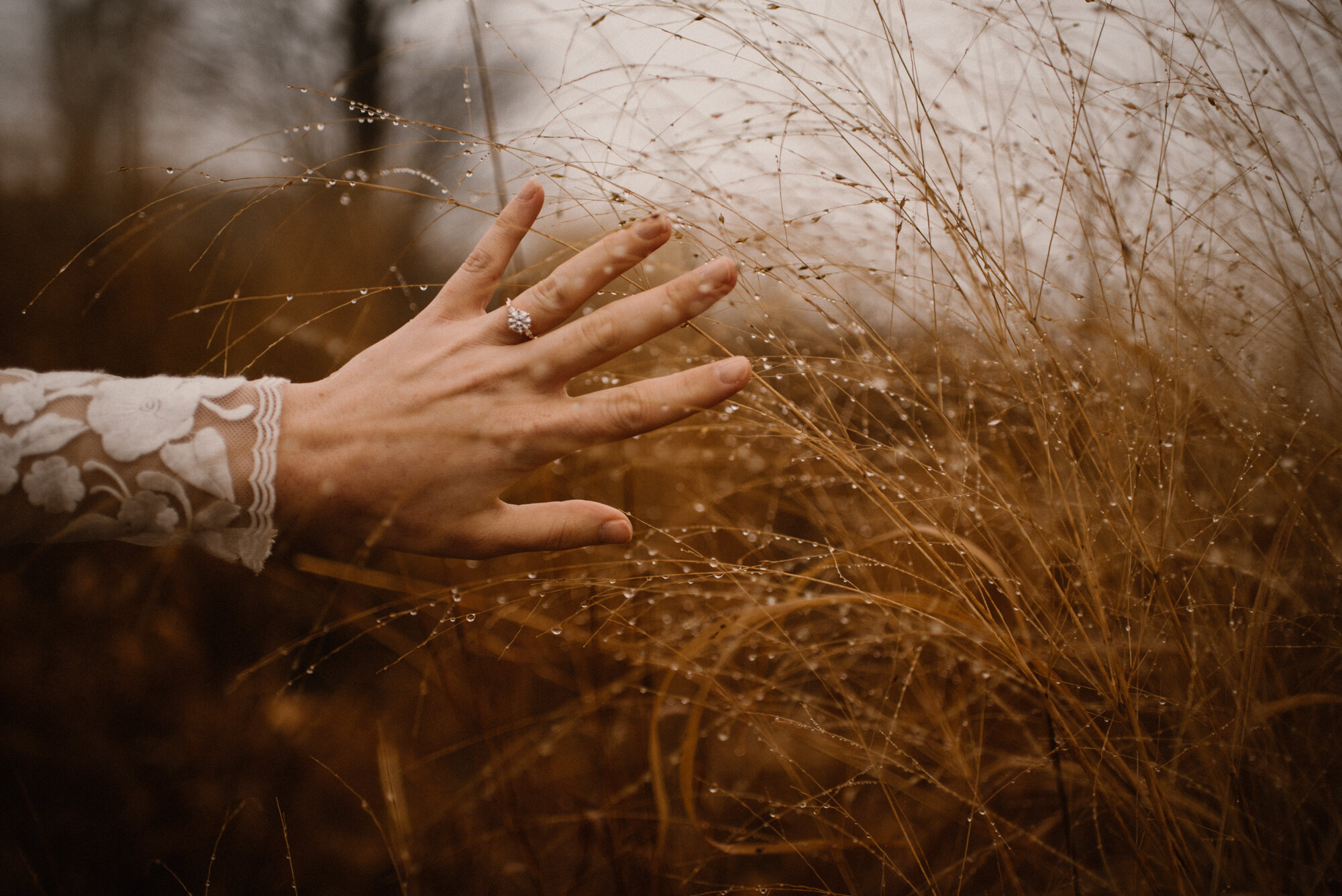 Fall Sunrise Elopement - Shenandoah National Park - Foggy Mountain Elopement - Halloween Elopement - White Sails Creative Photography_45.jpg