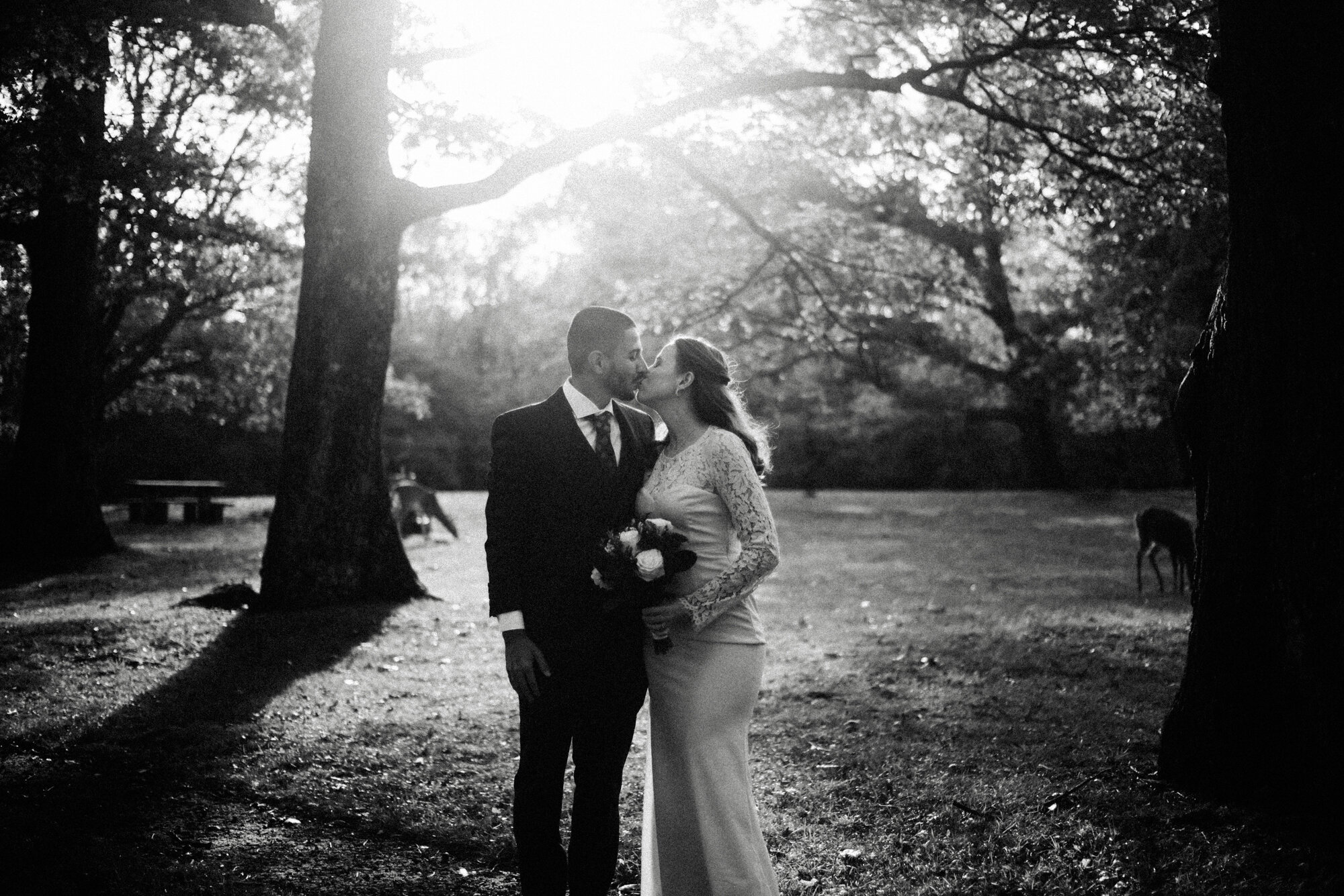 Elopement in the Blue Ridge Mountains - Adventure Wedding in Shenandoah National Park - National Park Wedding - Blue Ridge Mountain Wedding - Skyline Drive Photographer - Shenandoah National Park Photographer_21.jpg