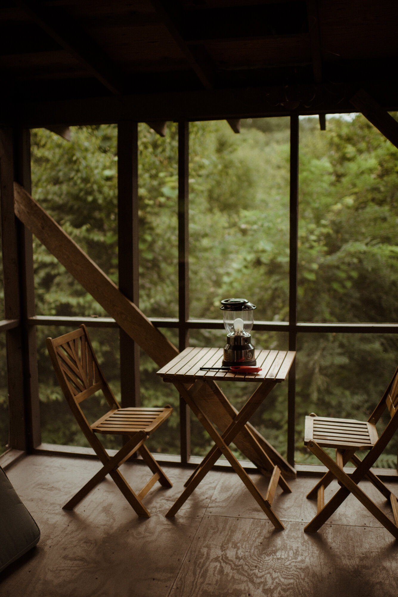 Shenandoah National Park Elopement - Cabin Wedding in Virginia - Blue Ridge Mountain Elopement - White Sails Creative - Adventure Wedding Photography - Waterfall Elopement_2.jpg