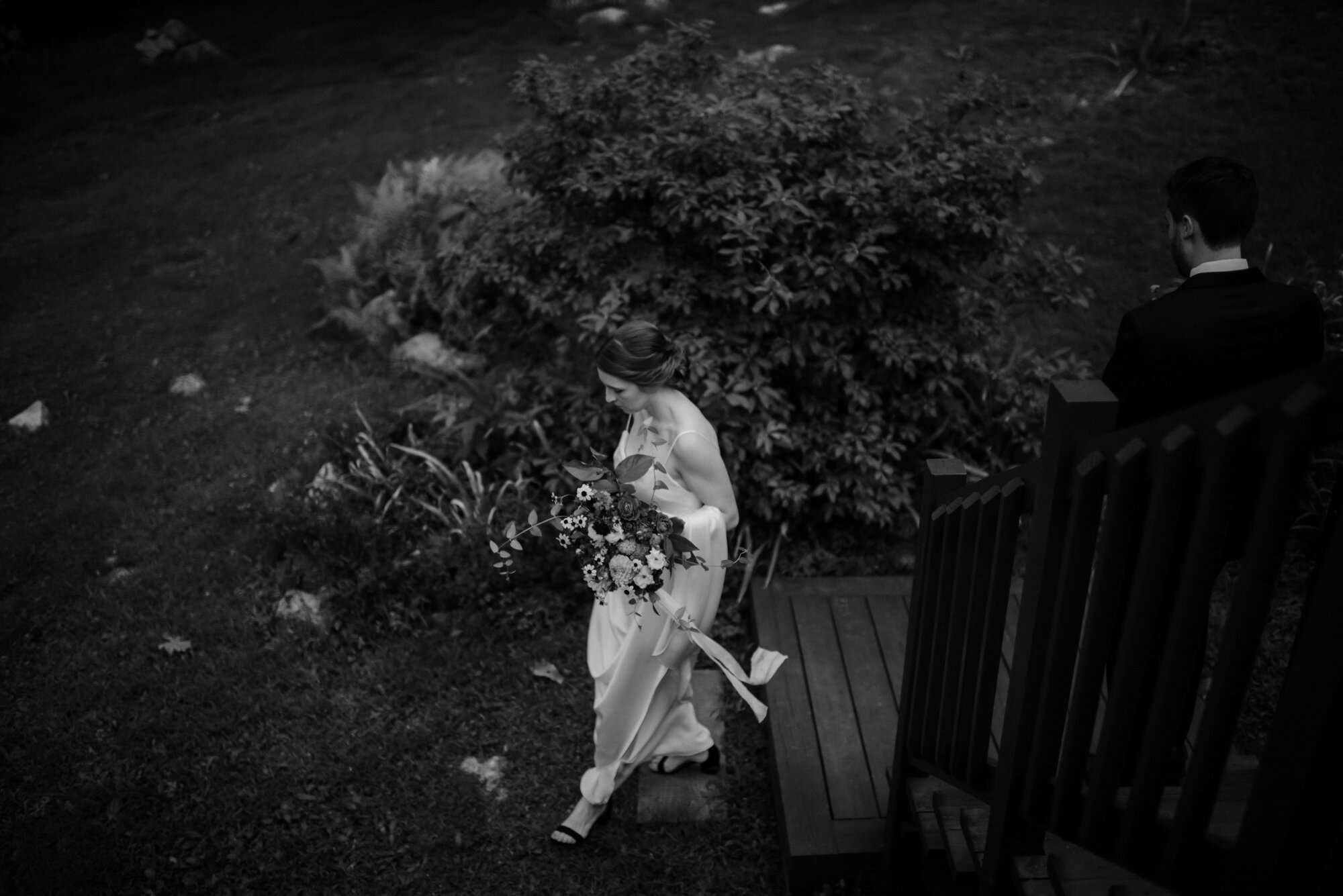 Shenandoah National Park Elopement - Cabin Wedding in Virginia - Blue Ridge Mountain Elopement - White Sails Creative - Adventure Wedding Photography - Waterfall Elopement_3.jpg