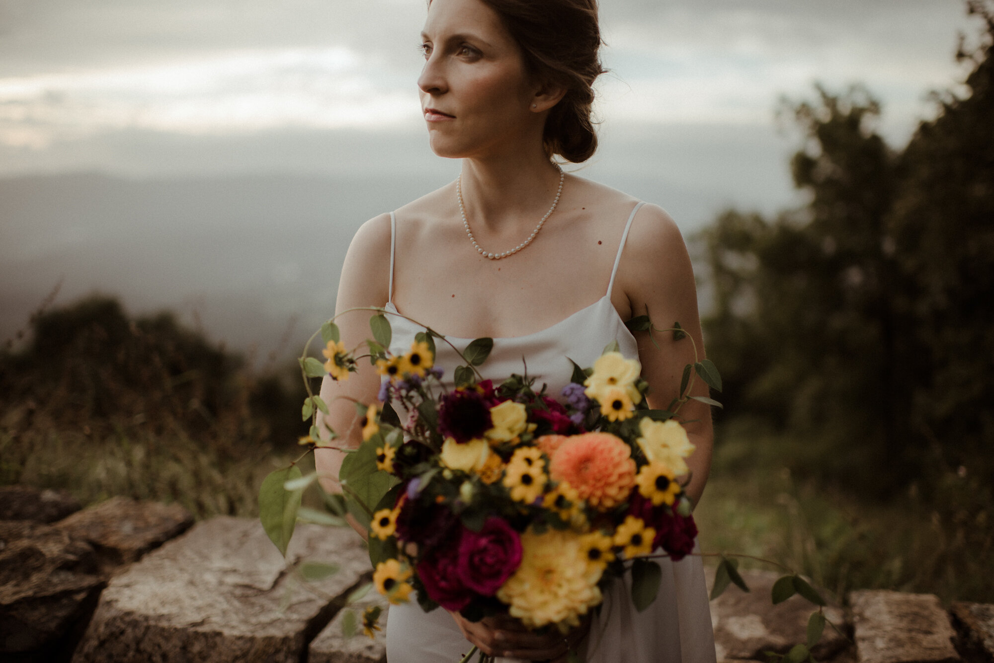 Shenandoah National Park Elopement - Cabin Wedding in Virginia - Blue Ridge Mountain Elopement - White Sails Creative - Adventure Wedding Photography - Waterfall Elopement_39.jpg