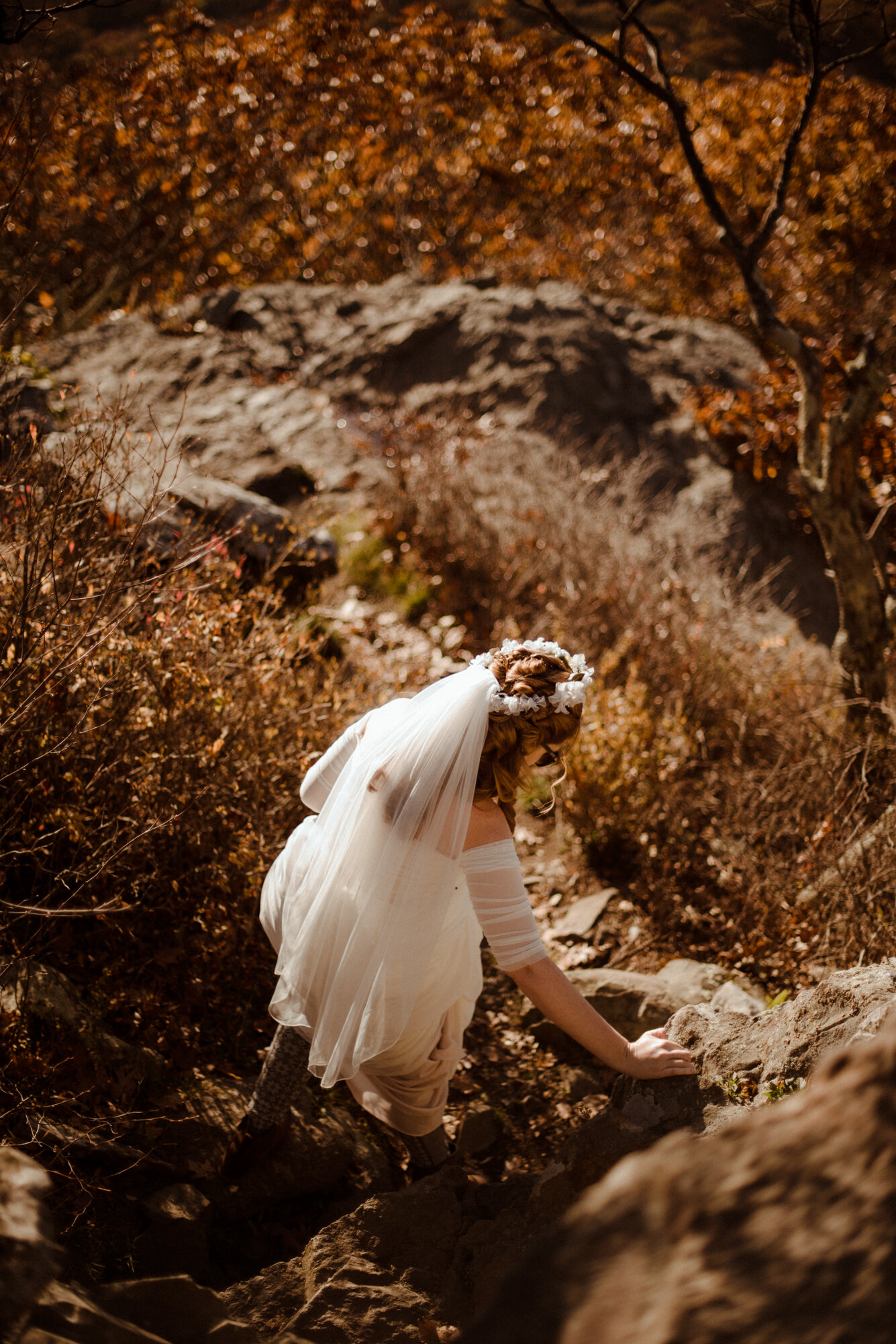 Emily and Ryan - Mountain Top Elopement - Shenandoah National Park - Blue Ridge Mountains Couple Photo Shoot in the Fall - White Sails Creative_14.jpg