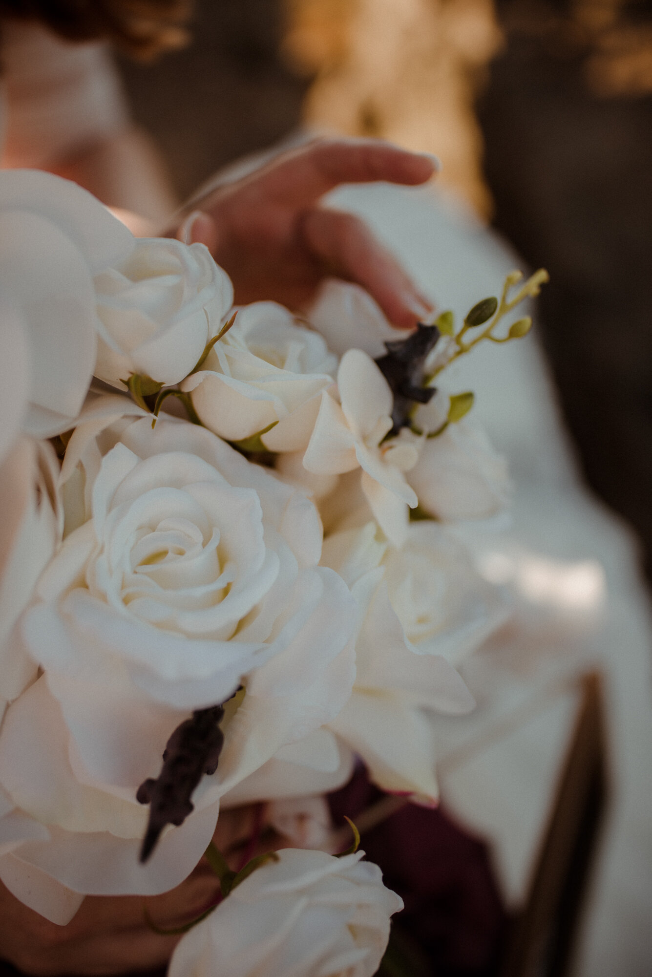 Emily and Ryan - Mountain Top Elopement - Shenandoah National Park - Blue Ridge Mountains Couple Photo Shoot in the Fall - White Sails Creative_51.jpg