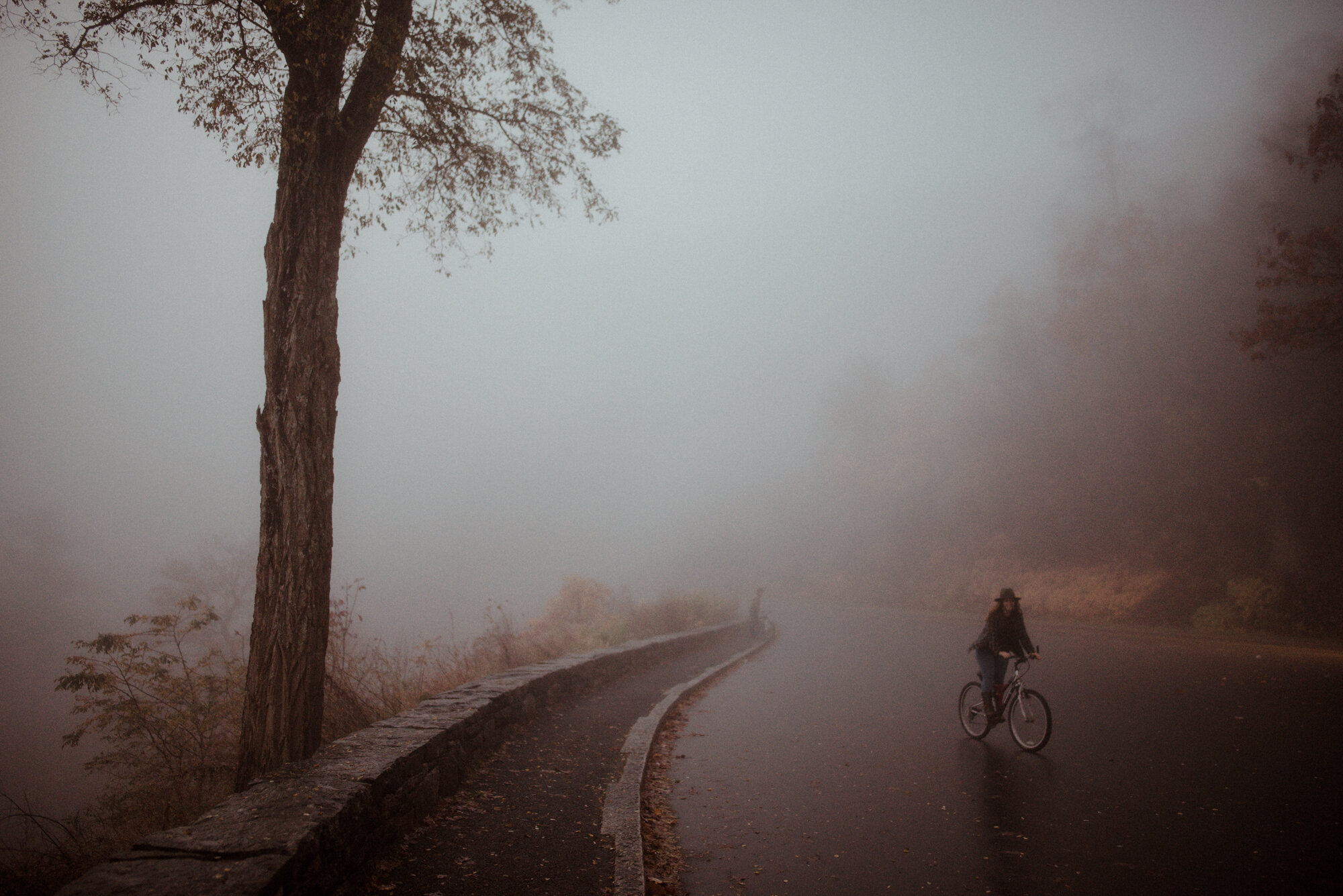 Shenandoah National Park Couple Photo Shoot - Autumn Photo Shoot on the Blue Ridge Parkway - Couple Bicycle Photo Shoot - Foggy Couple Photo Shoot - White Sails Creative_3.jpg