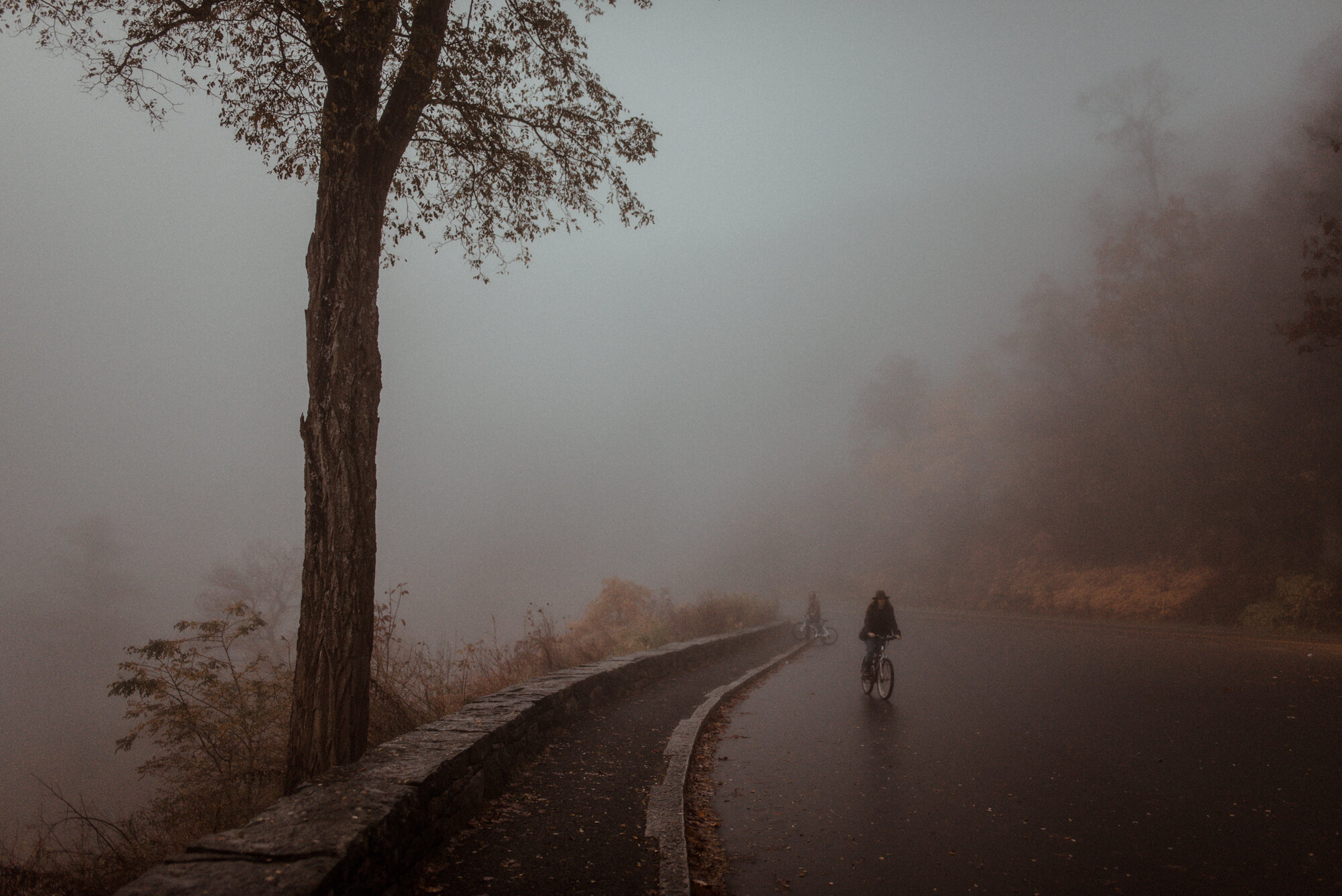 Shenandoah National Park Couple Photo Shoot - Autumn Photo Shoot on the Blue Ridge Parkway - Couple Bicycle Photo Shoot - Foggy Couple Photo Shoot - White Sails Creative_2.jpg