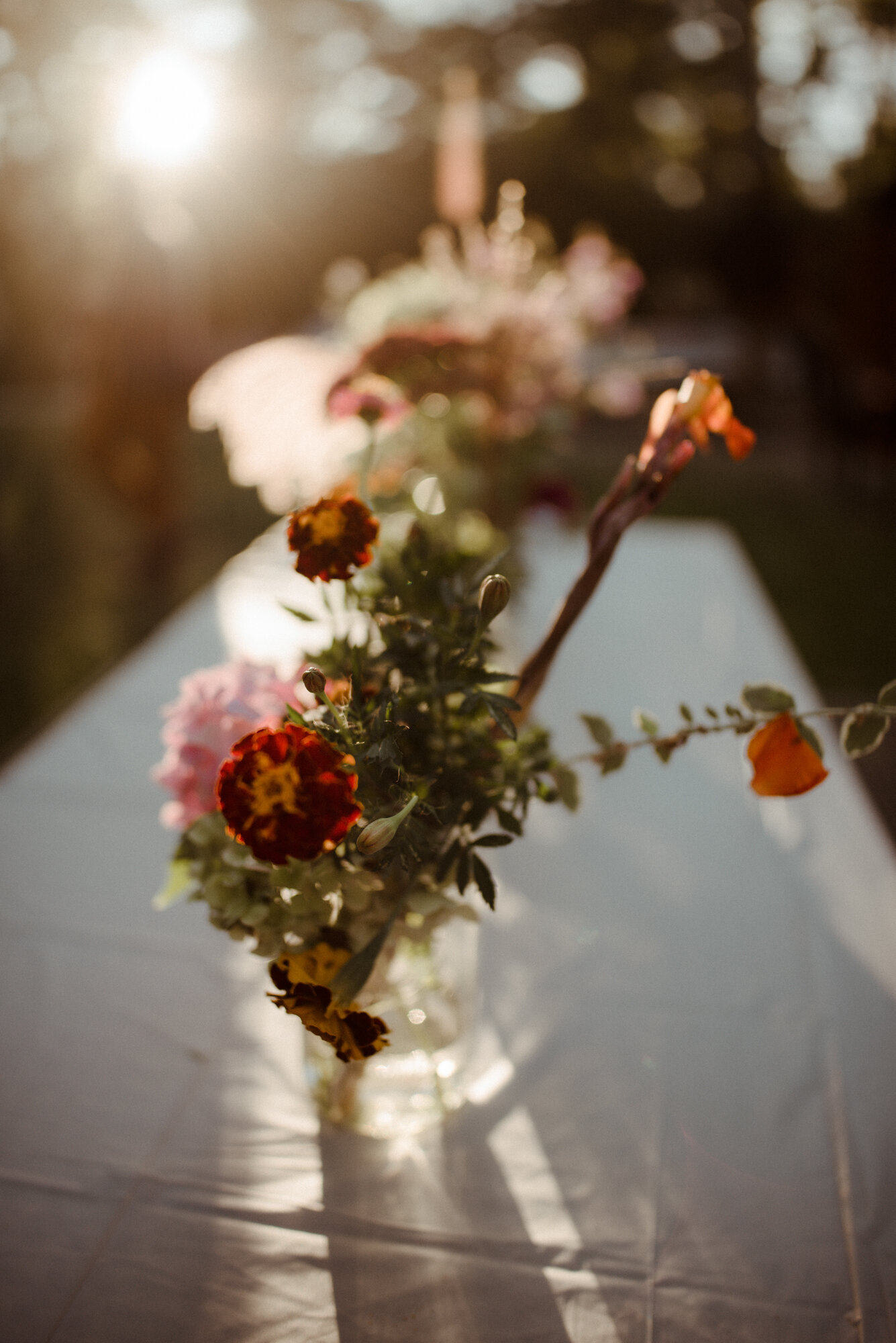 Shenandoah National Park Campsite Wedding - Skyline Drive Fall Elopement - White Sails Creative_64.jpg