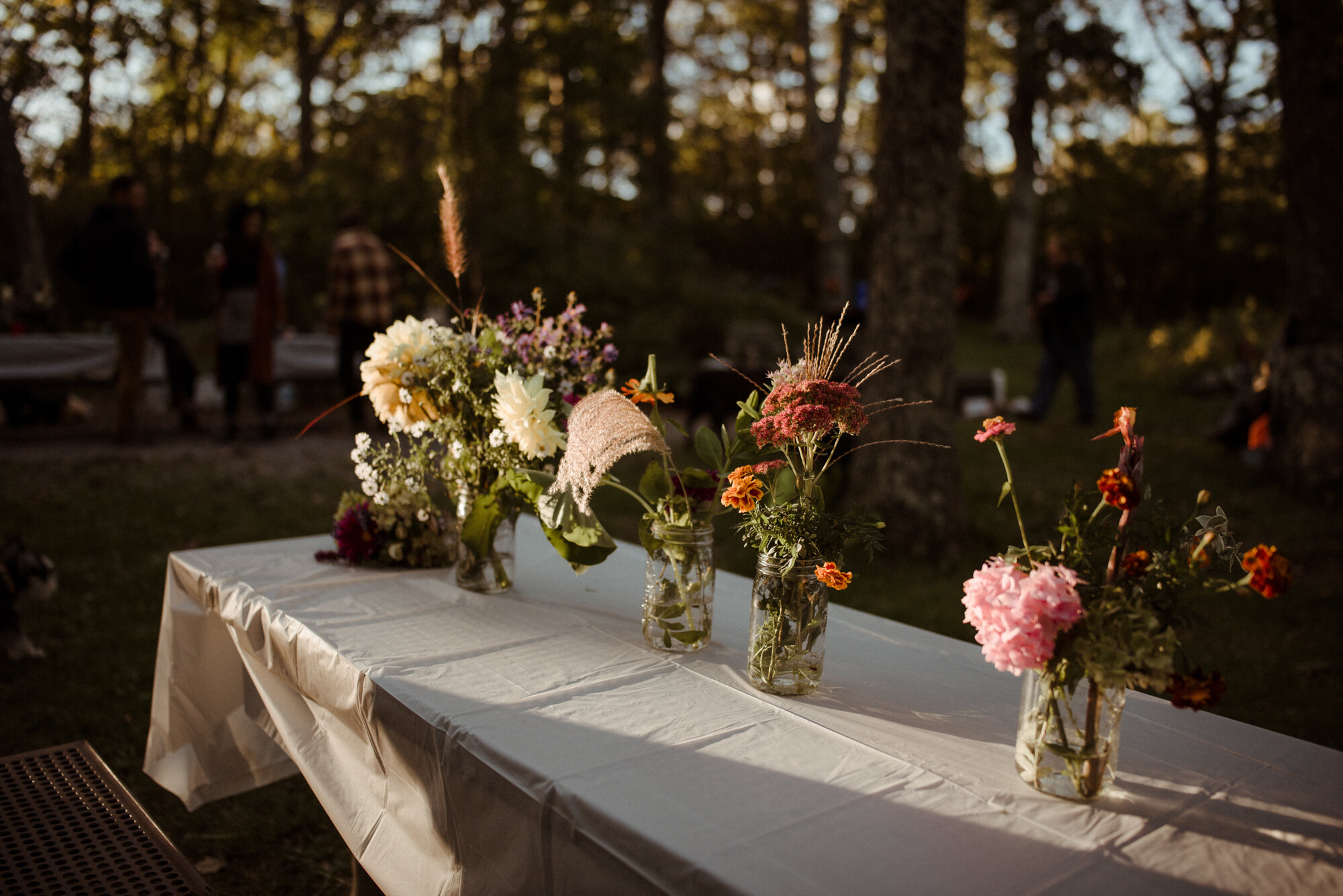 Shenandoah National Park Campsite Wedding - Skyline Drive Fall Elopement - White Sails Creative_65.jpg