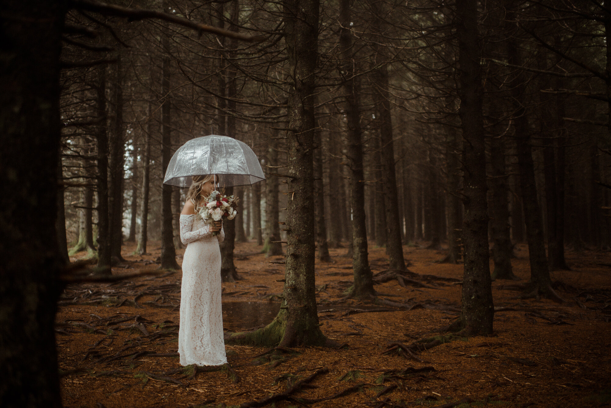 Blue Ridge Parkway Rainy Day Elopement - Shenandoah National Park Wedding - White Sails Creative_14.jpg