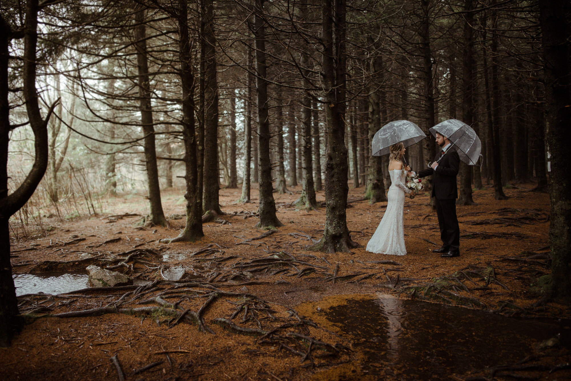 Blue Ridge Parkway Rainy Day Elopement - Shenandoah National Park Wedding - White Sails Creative_23.jpg