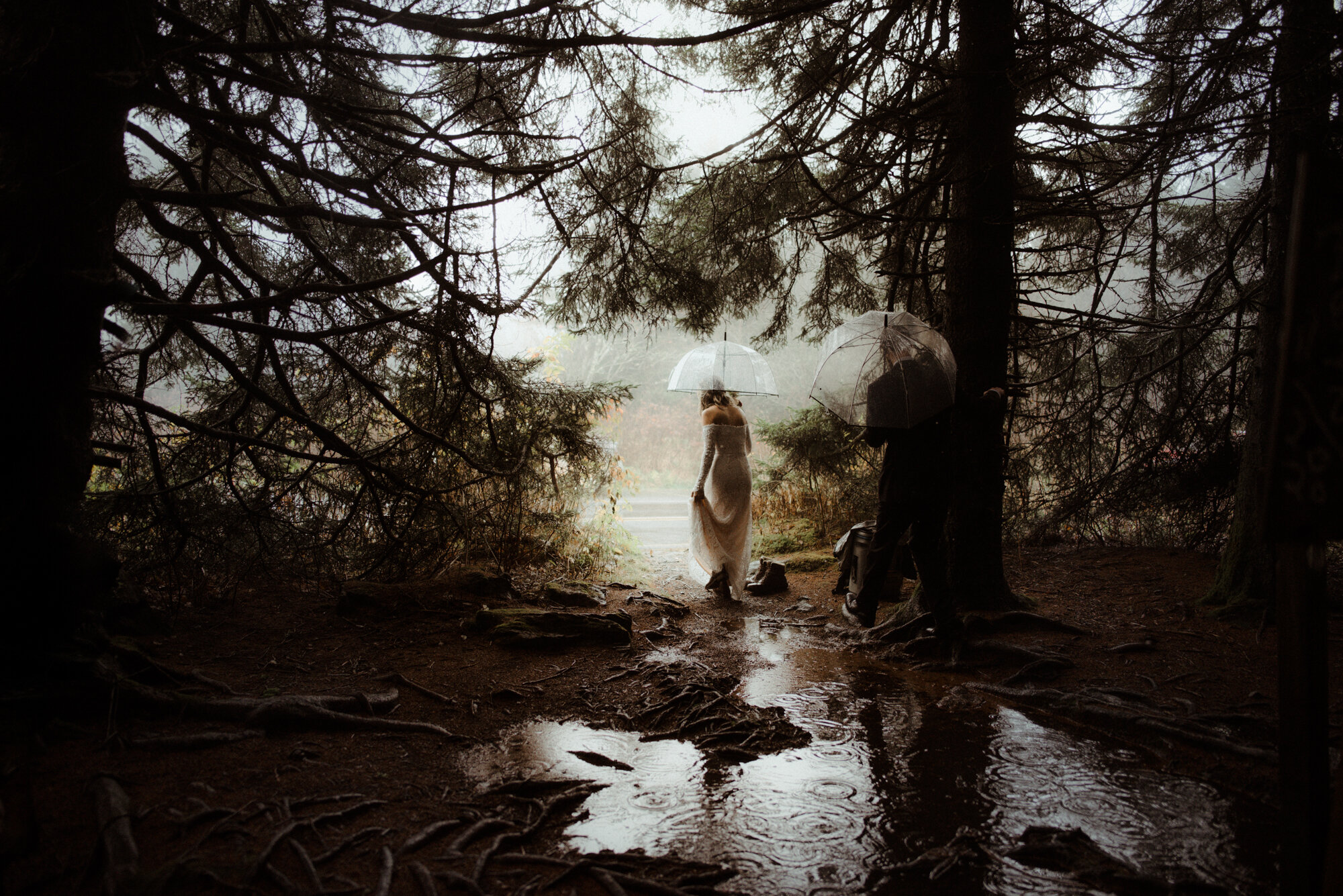 Blue Ridge Parkway Rainy Day Elopement - Shenandoah National Park Wedding - White Sails Creative_24.jpg