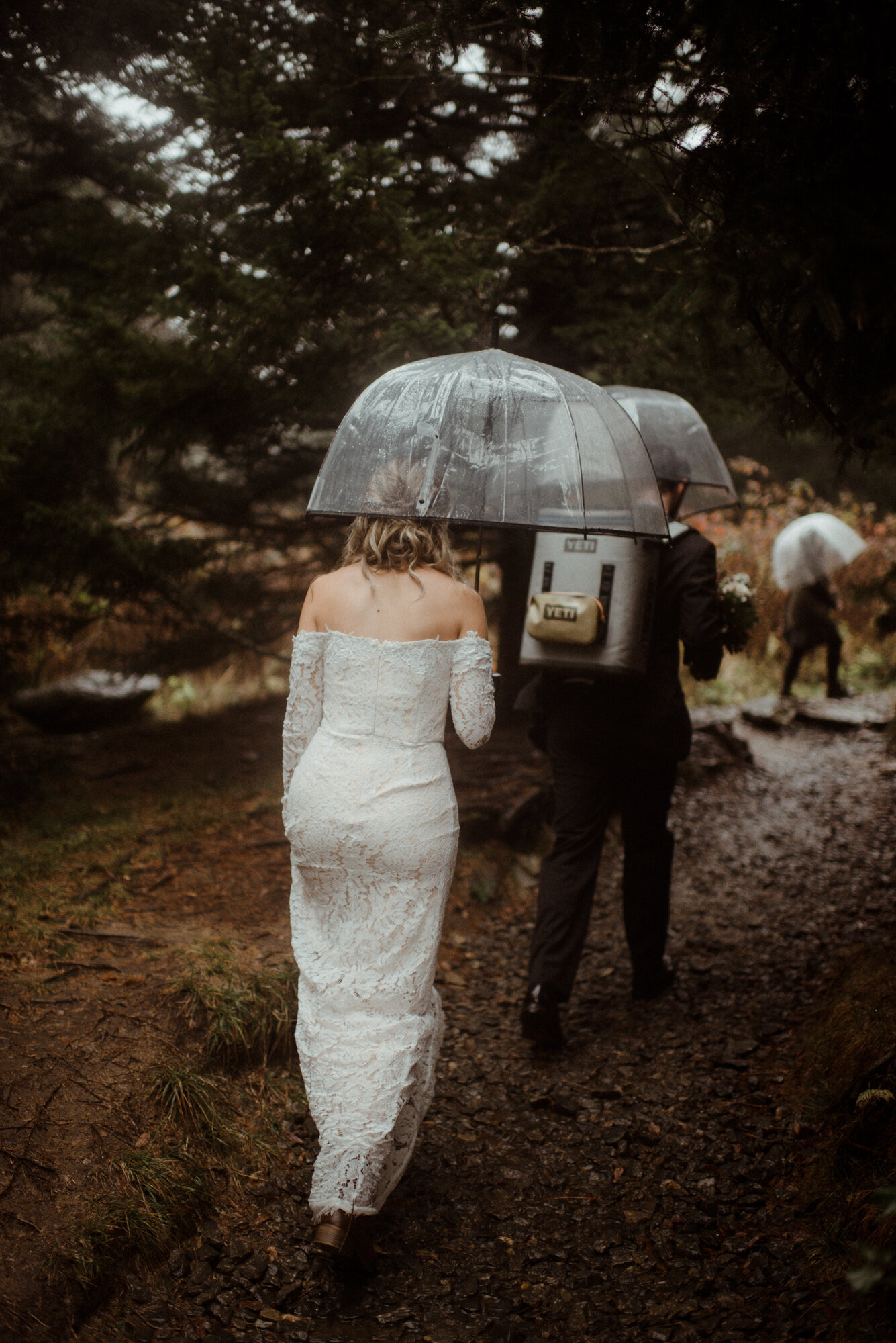 Blue Ridge Parkway Rainy Day Elopement - Shenandoah National Park Wedding - White Sails Creative_27.jpg