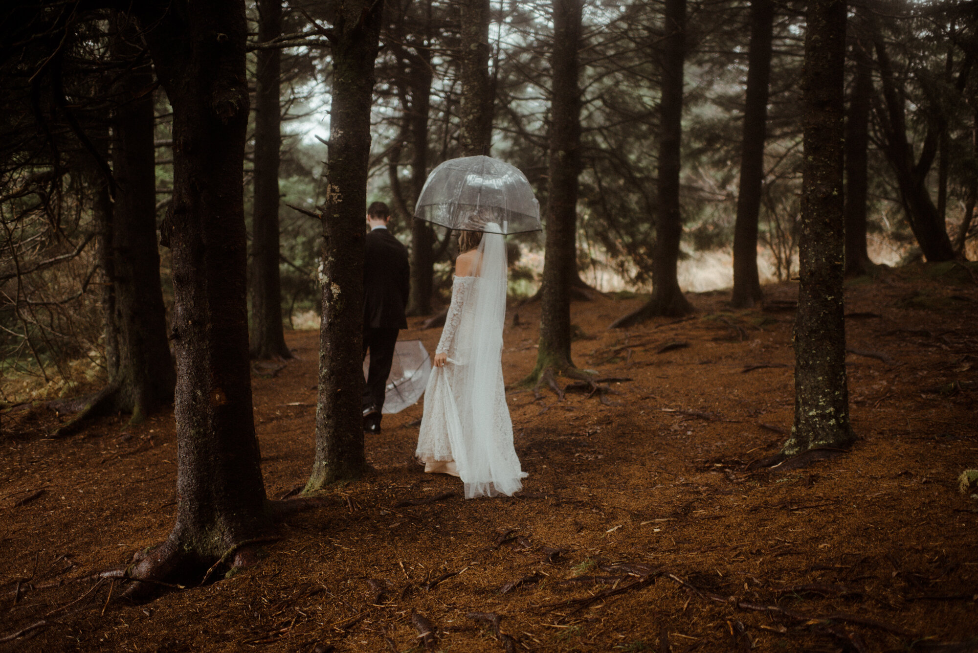 Blue Ridge Parkway Rainy Day Elopement - Shenandoah National Park Wedding - White Sails Creative_30.jpg